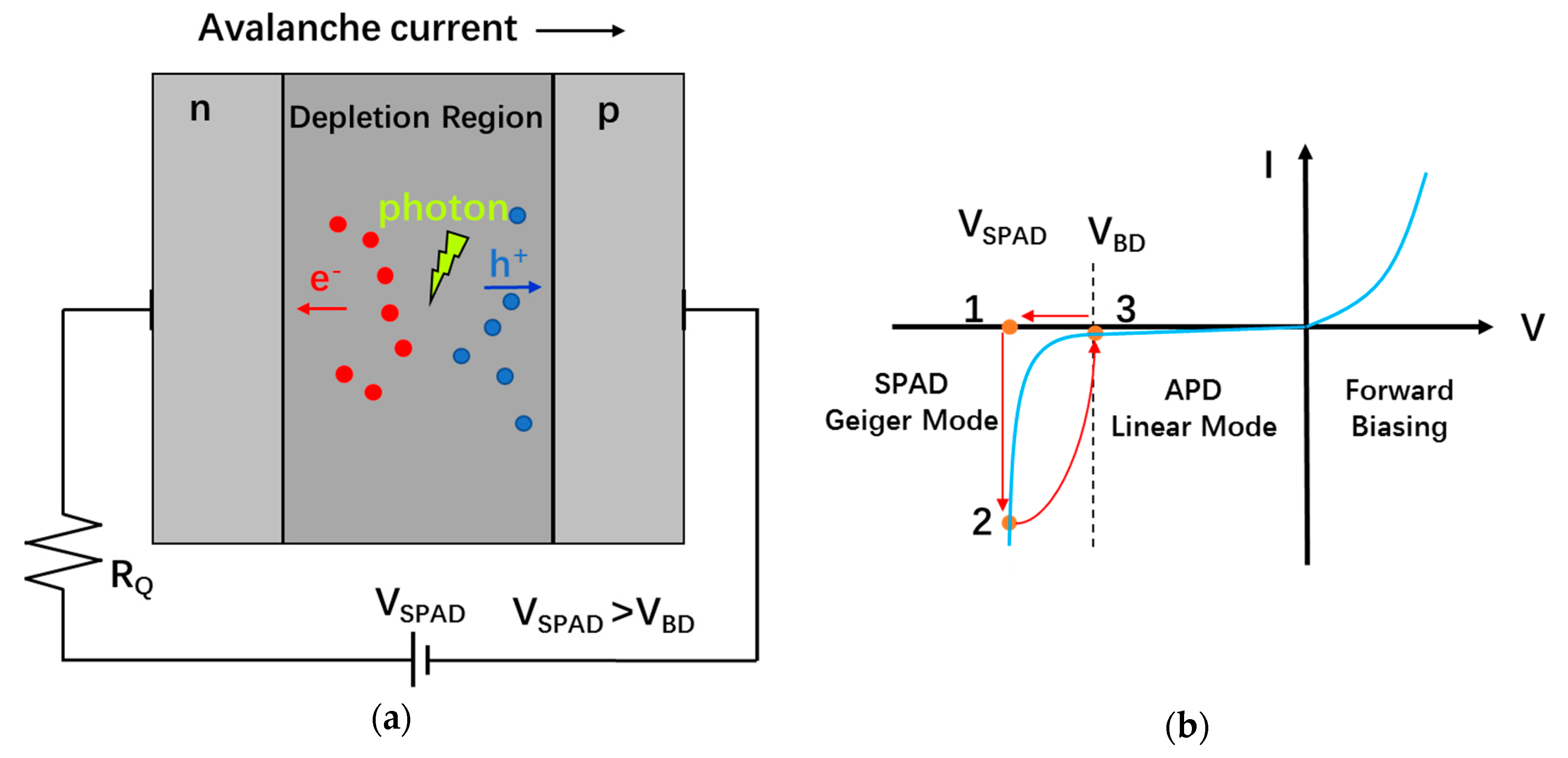 Sensors 19 05019 g010 Sensors 19 05019 g010