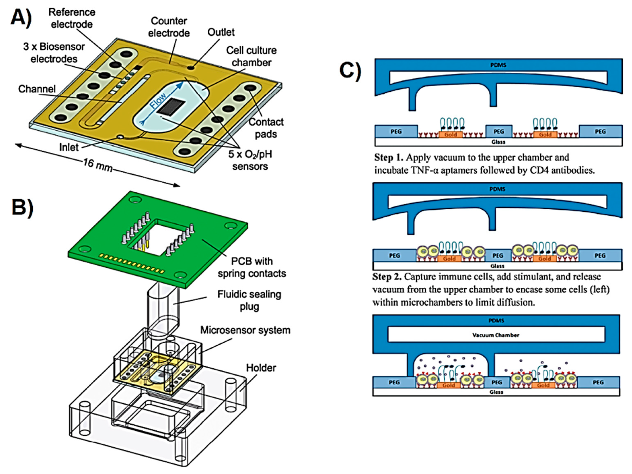 Sensors 19 05027 g005