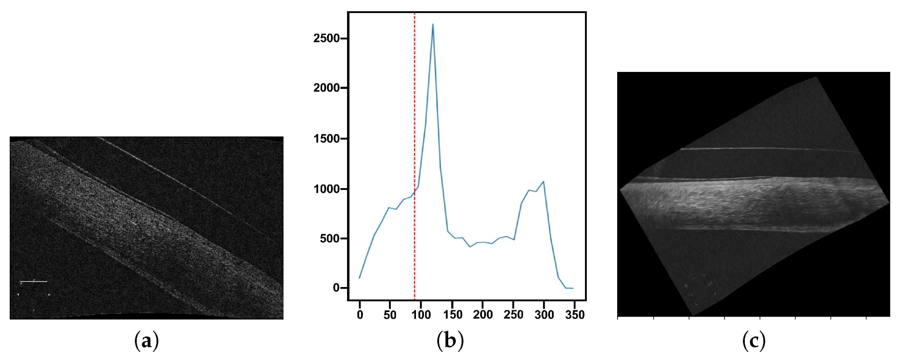 Sensors 19 05087 g005