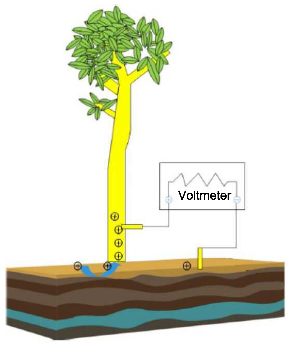 Sensors 19 05093 g002