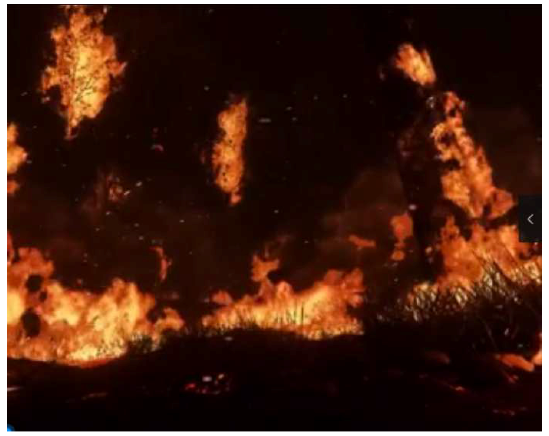 Sensors 19 05093 g013