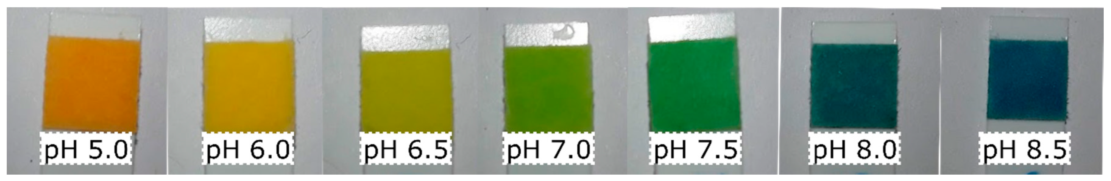 Sensors 19 05104 g001