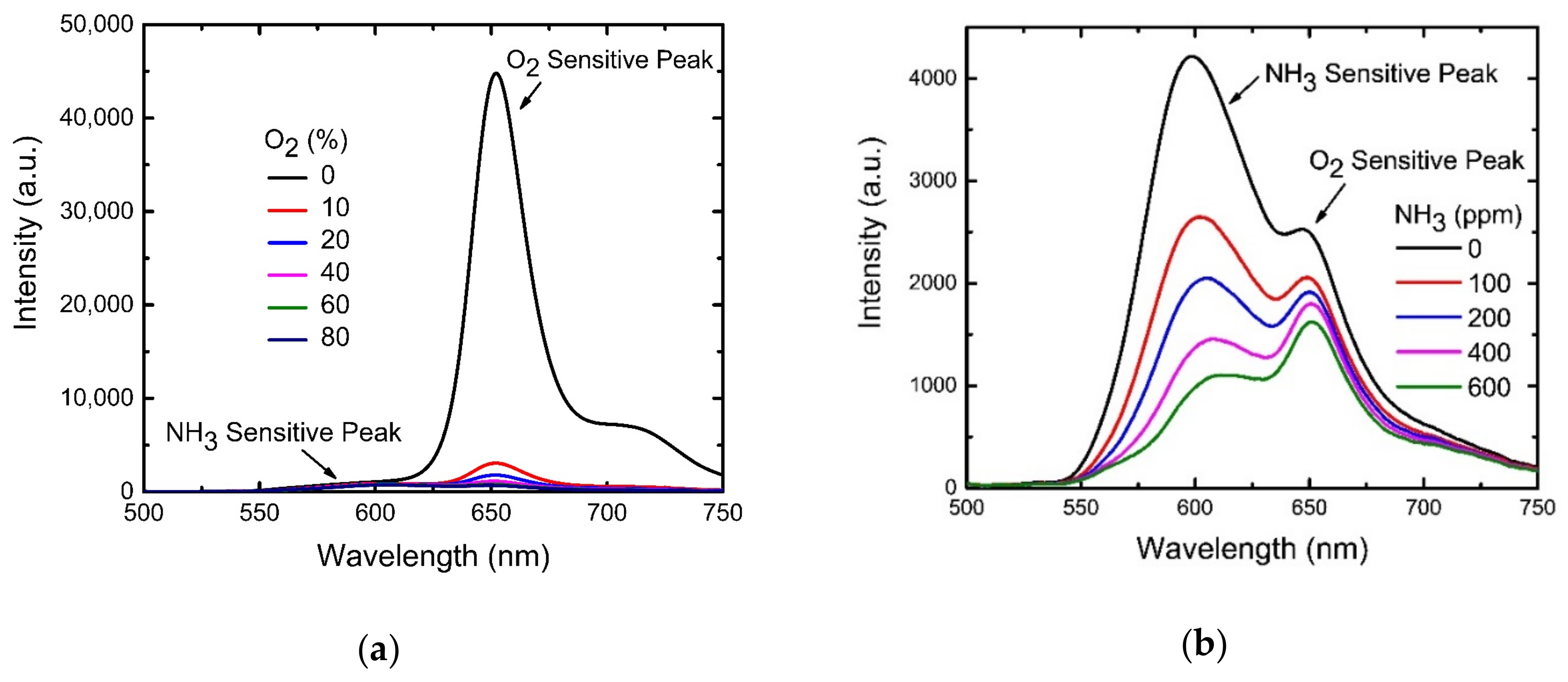 Sensors 19 05124 g008