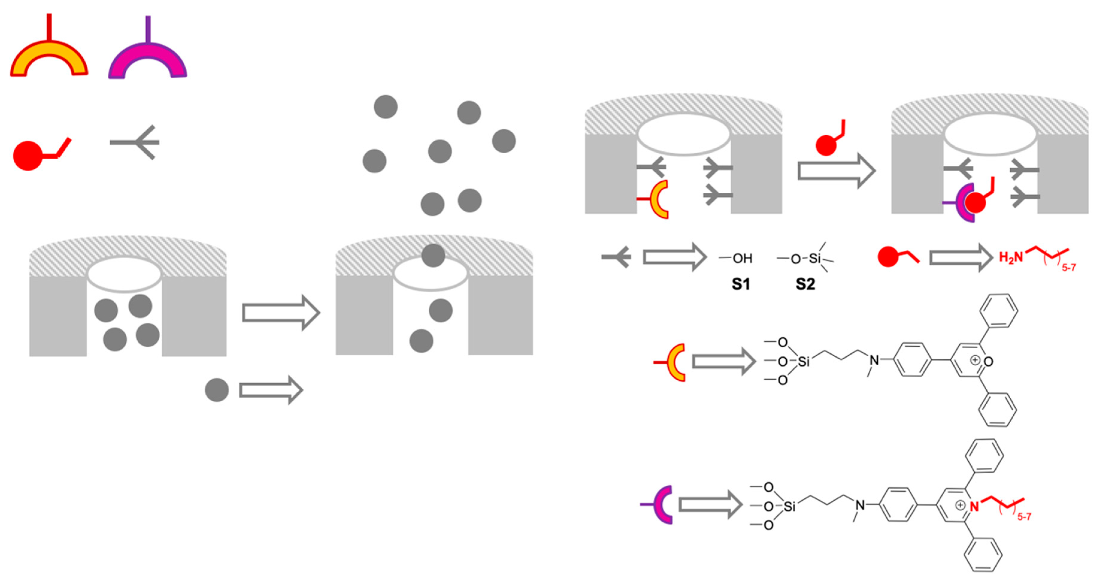 Sensors 19 05138 g002