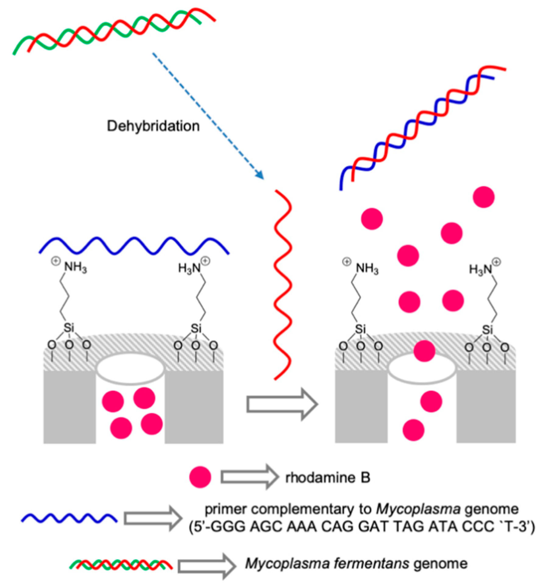 Sensors 19 05138 g008