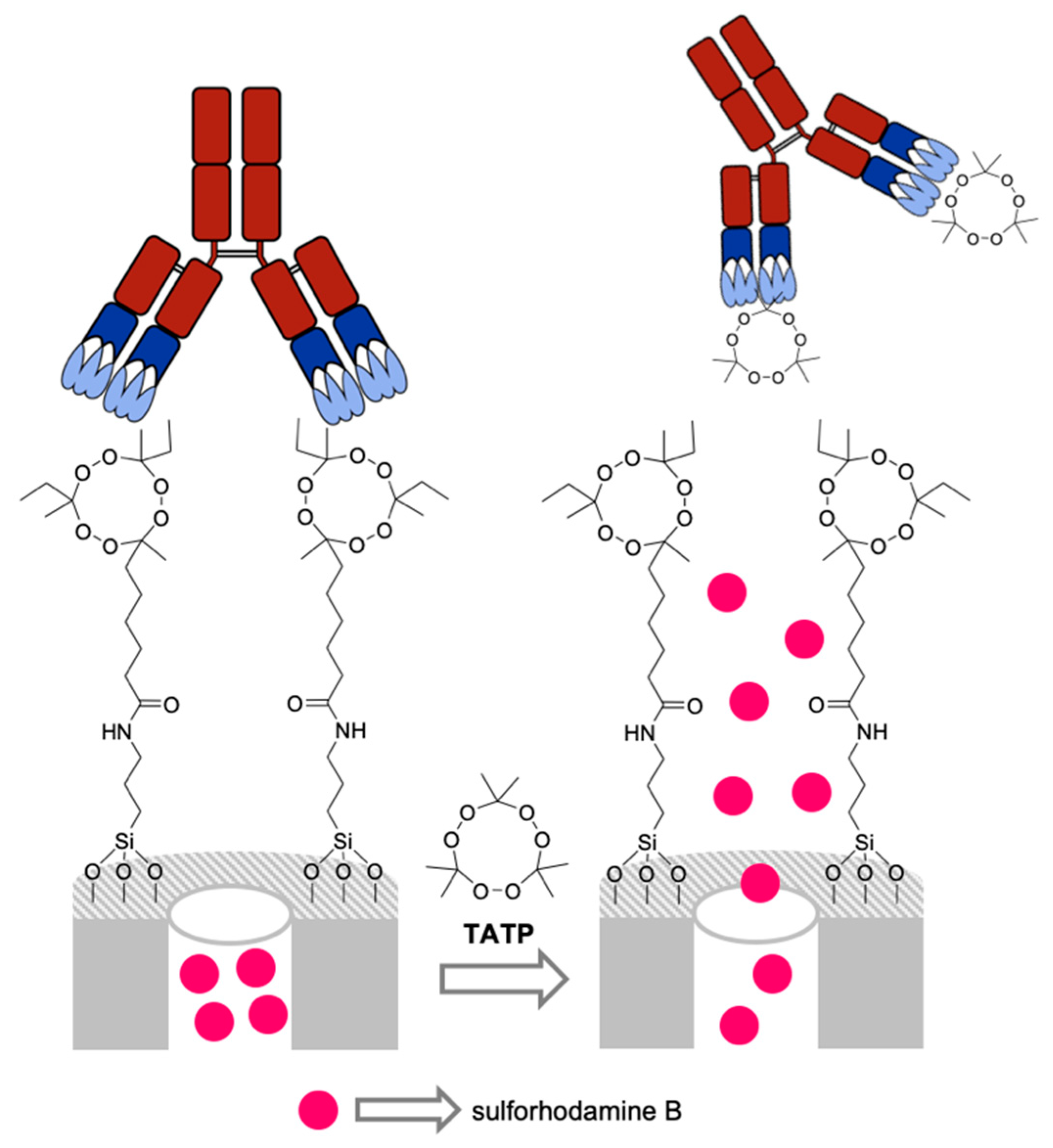Sensors 19 05138 g009