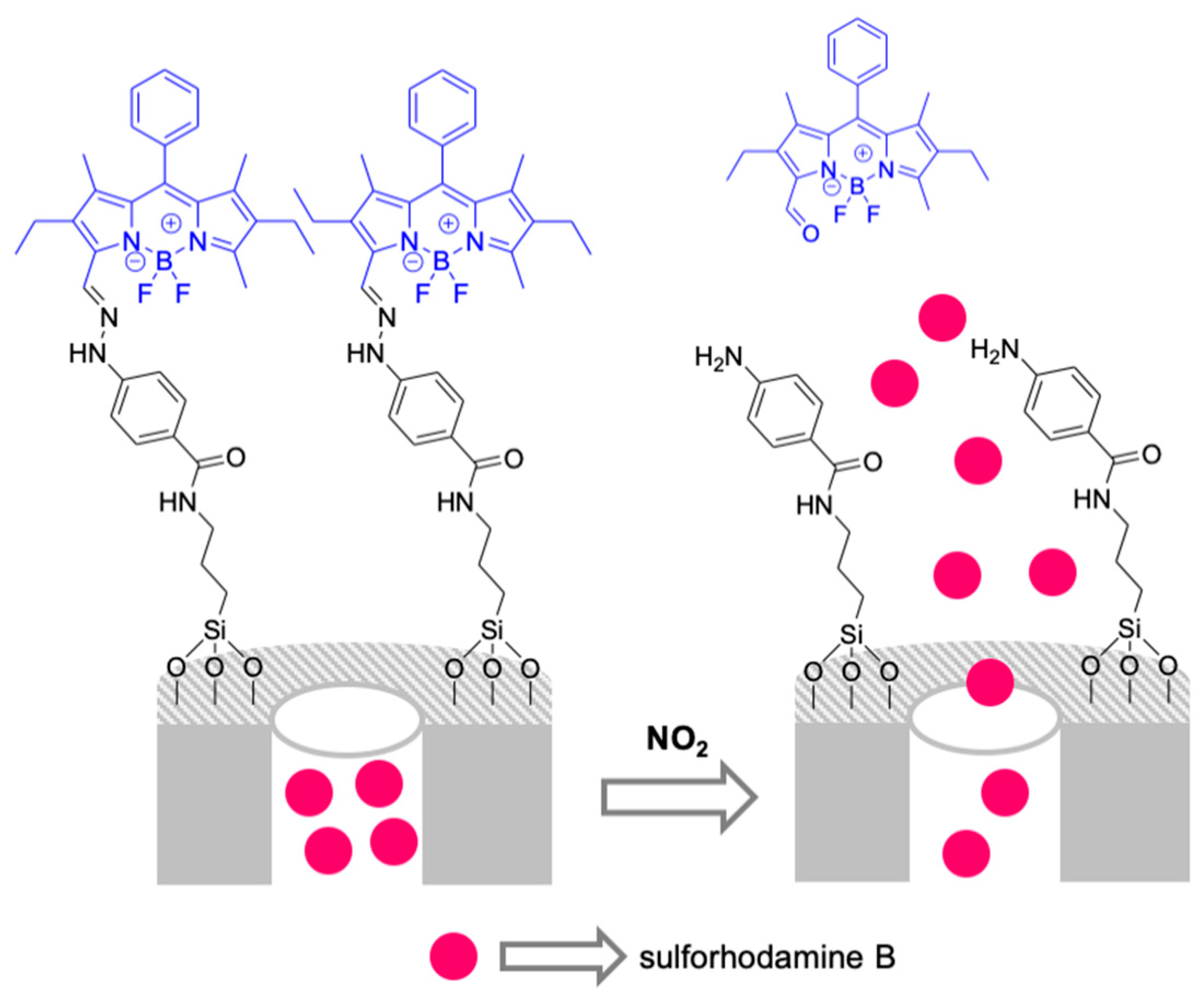 Sensors 19 05138 g011
