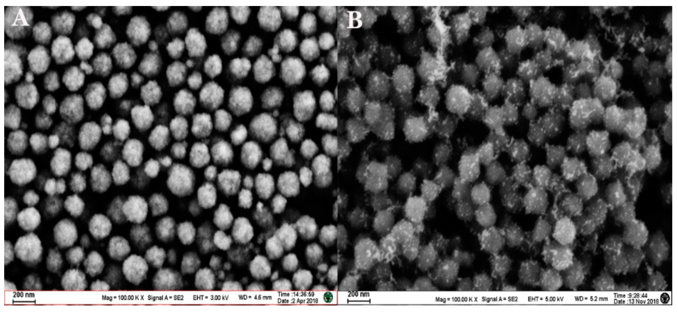 Sensors 19 05152 g007
