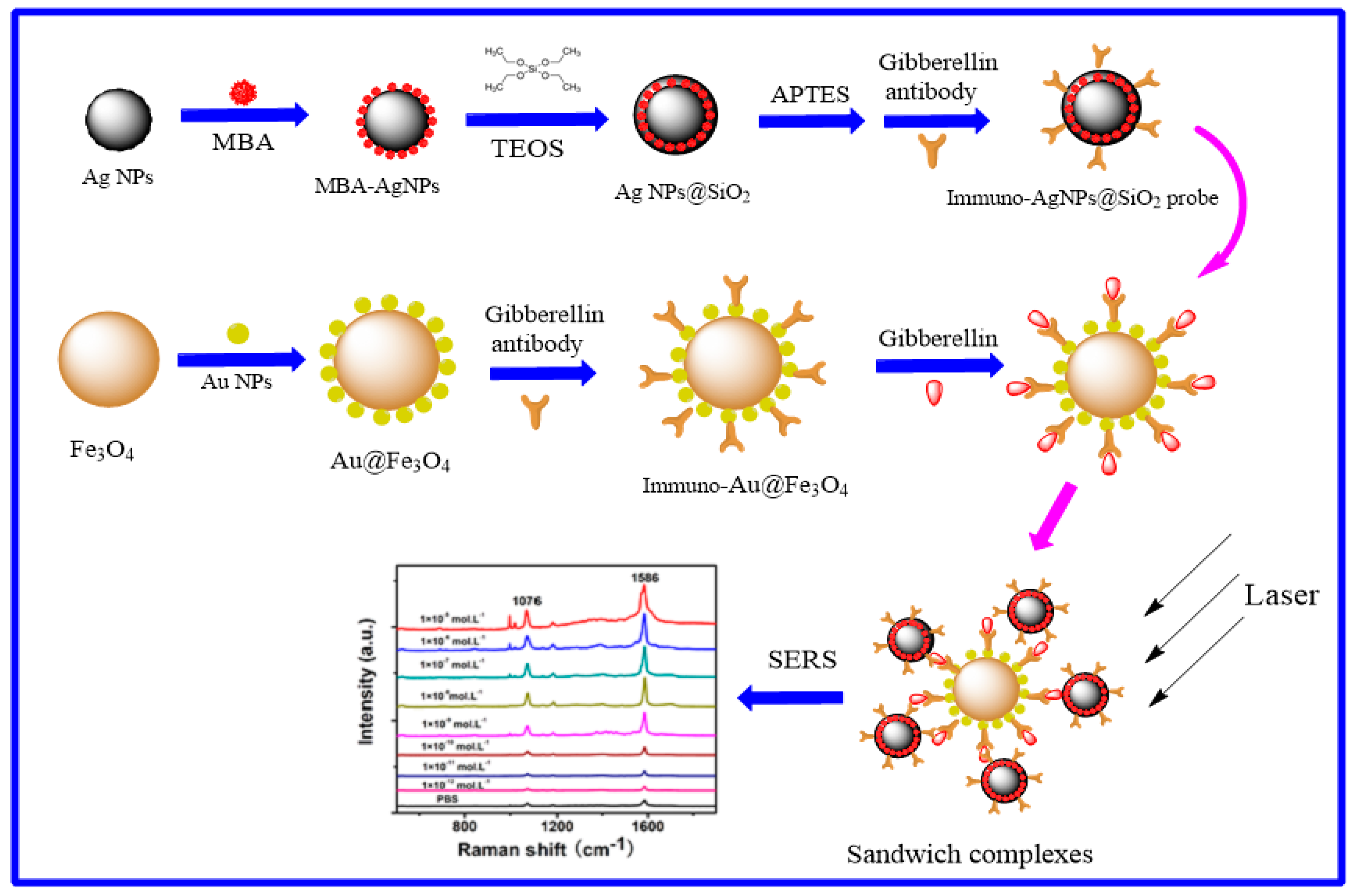 Sensors 19 05152 sch001