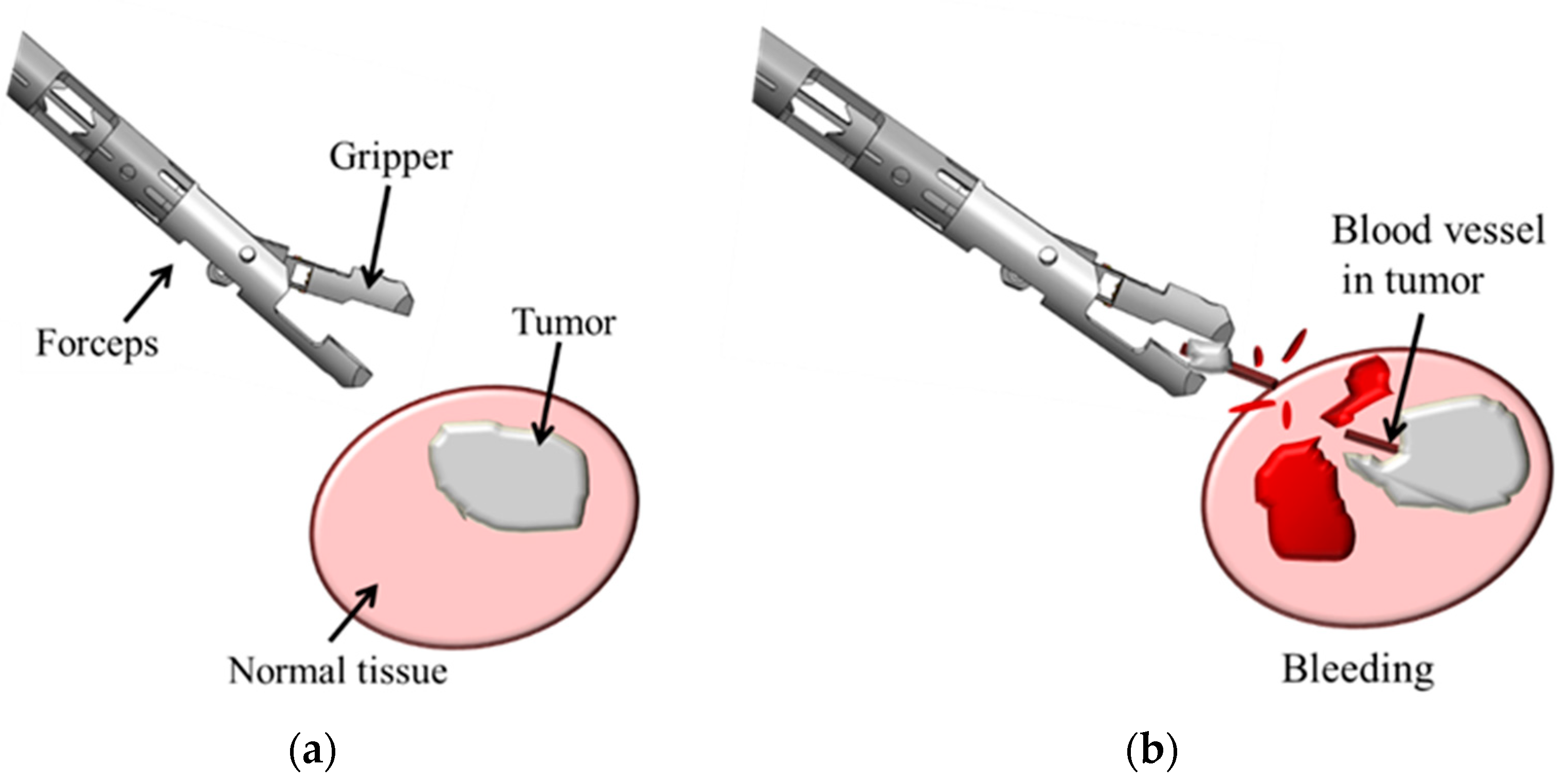 Sensors 19 05157 g001