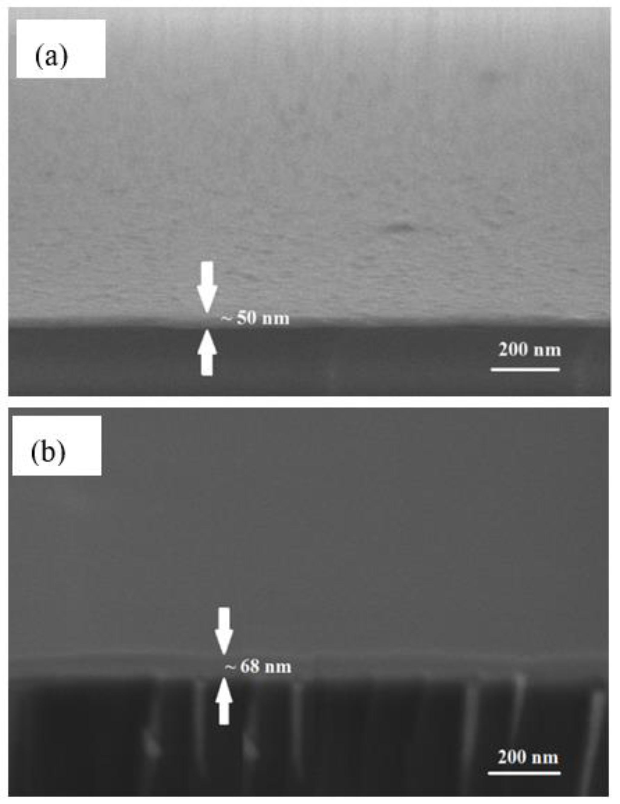 Sensors 19 05159 g002