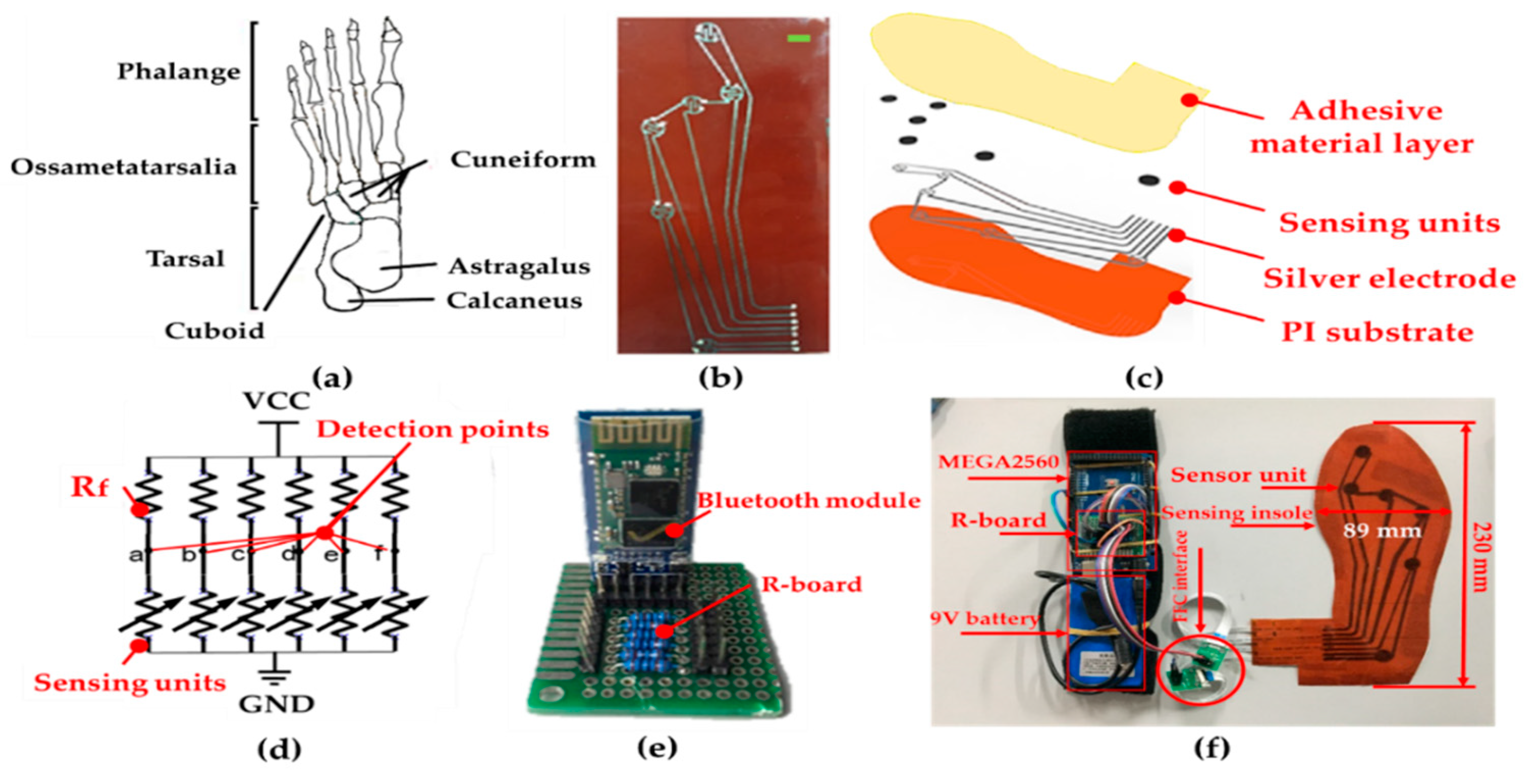 Sensors 19 05197 g008