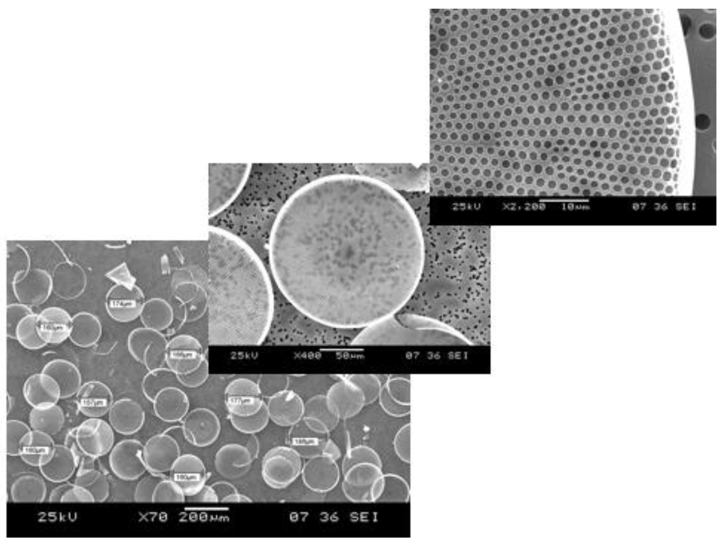 Sensors 19 05208 g001