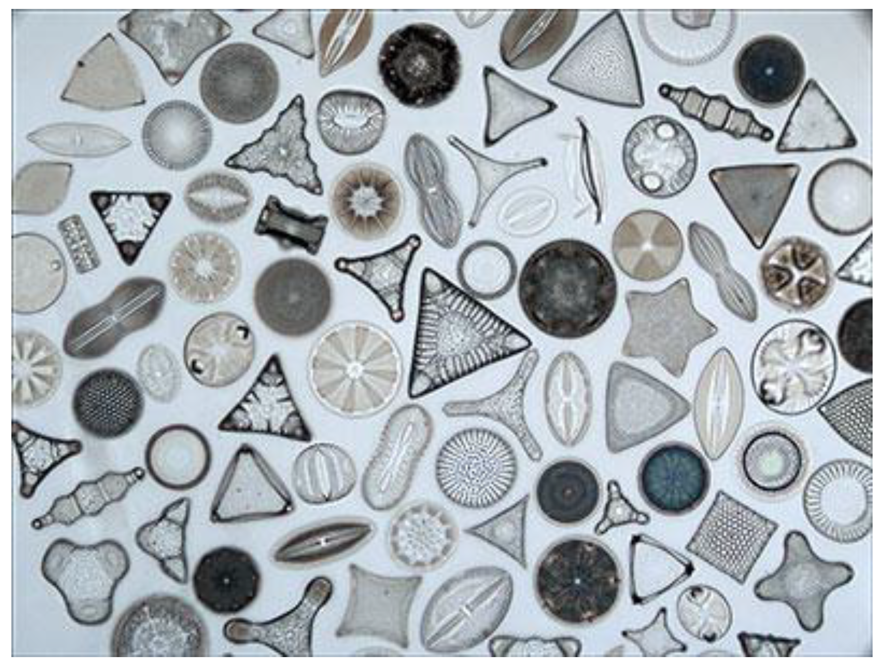 Sensors 19 05208 g002