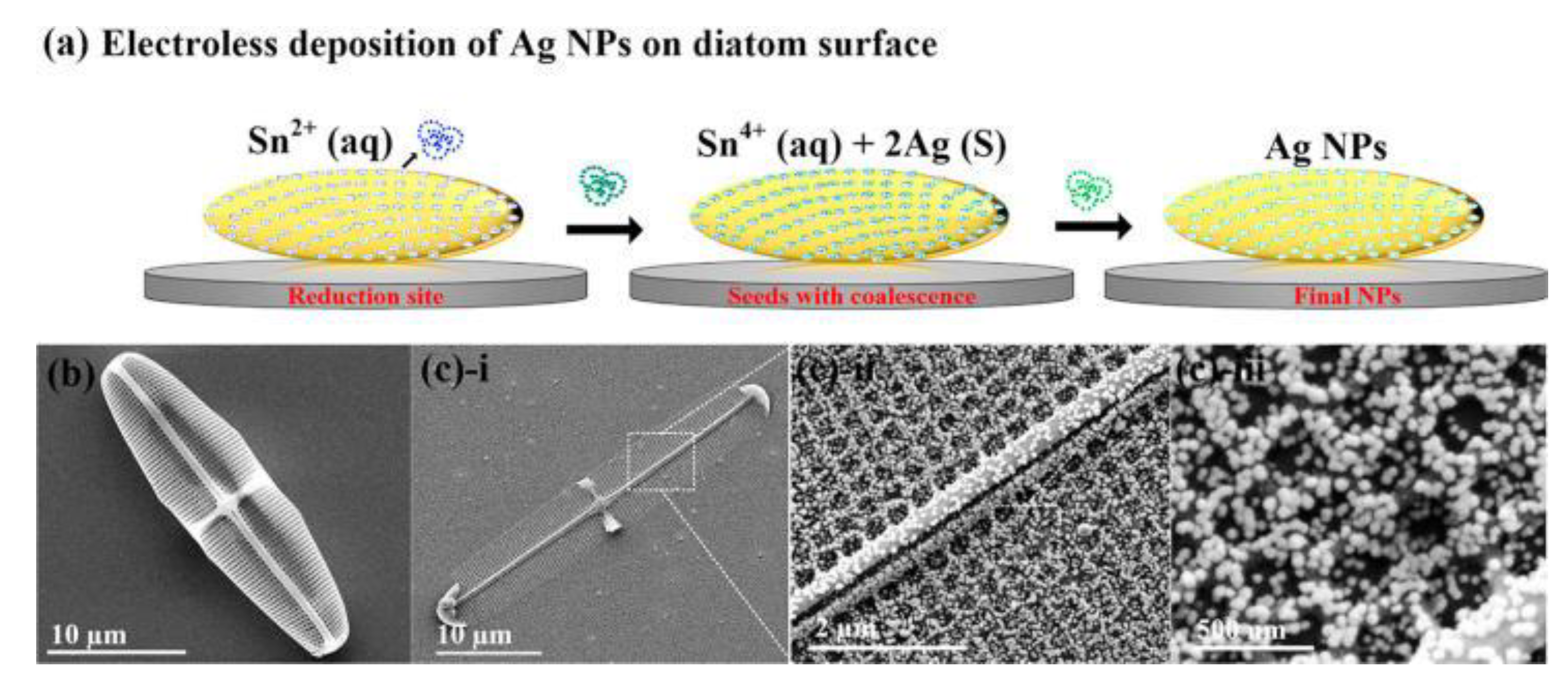 Sensors 19 05208 g003