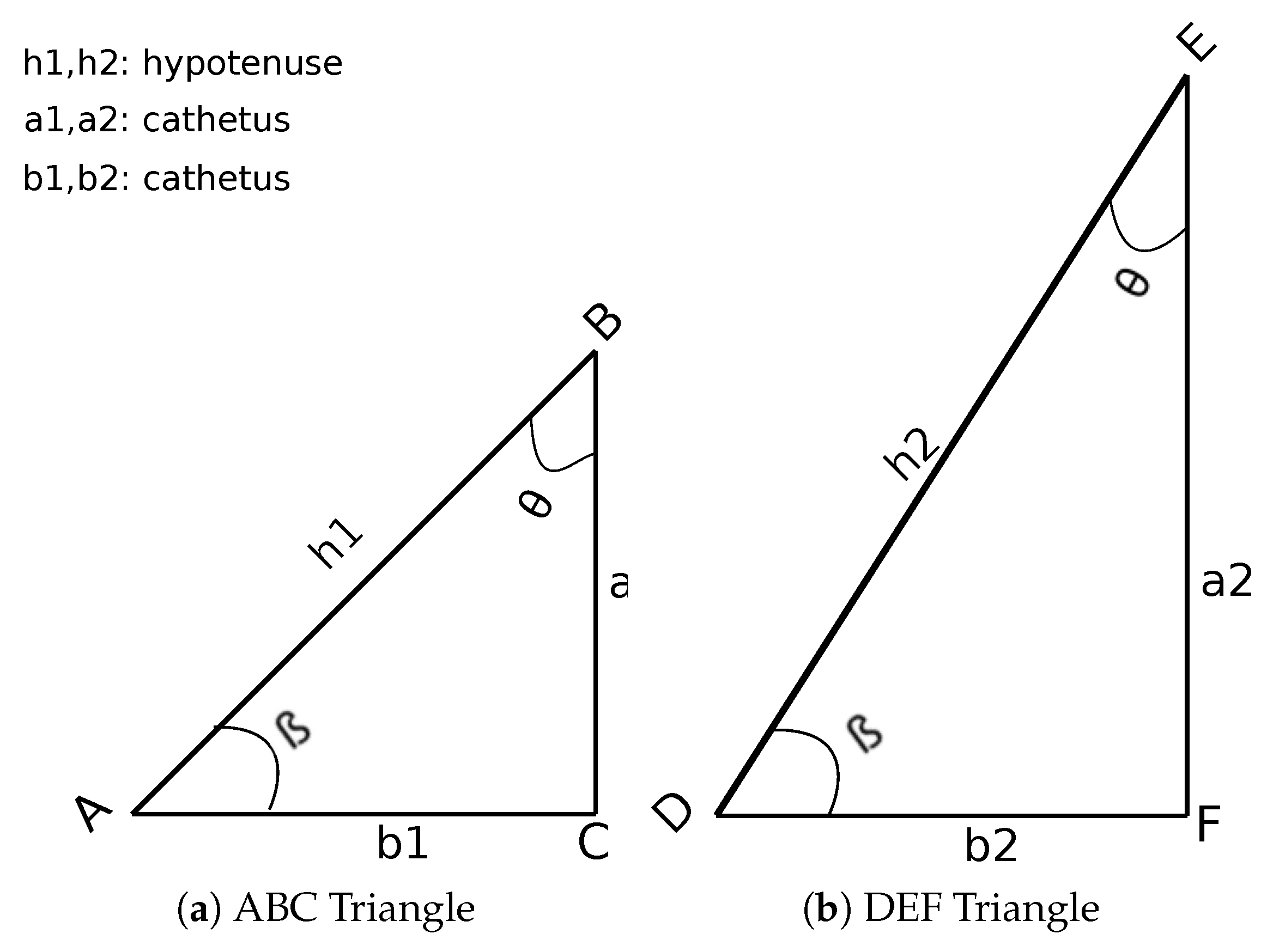 Sensors 19 05231 g001