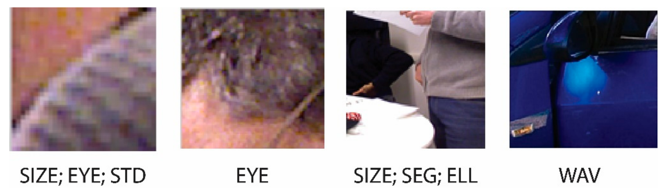 Sensors 19 05242 g003