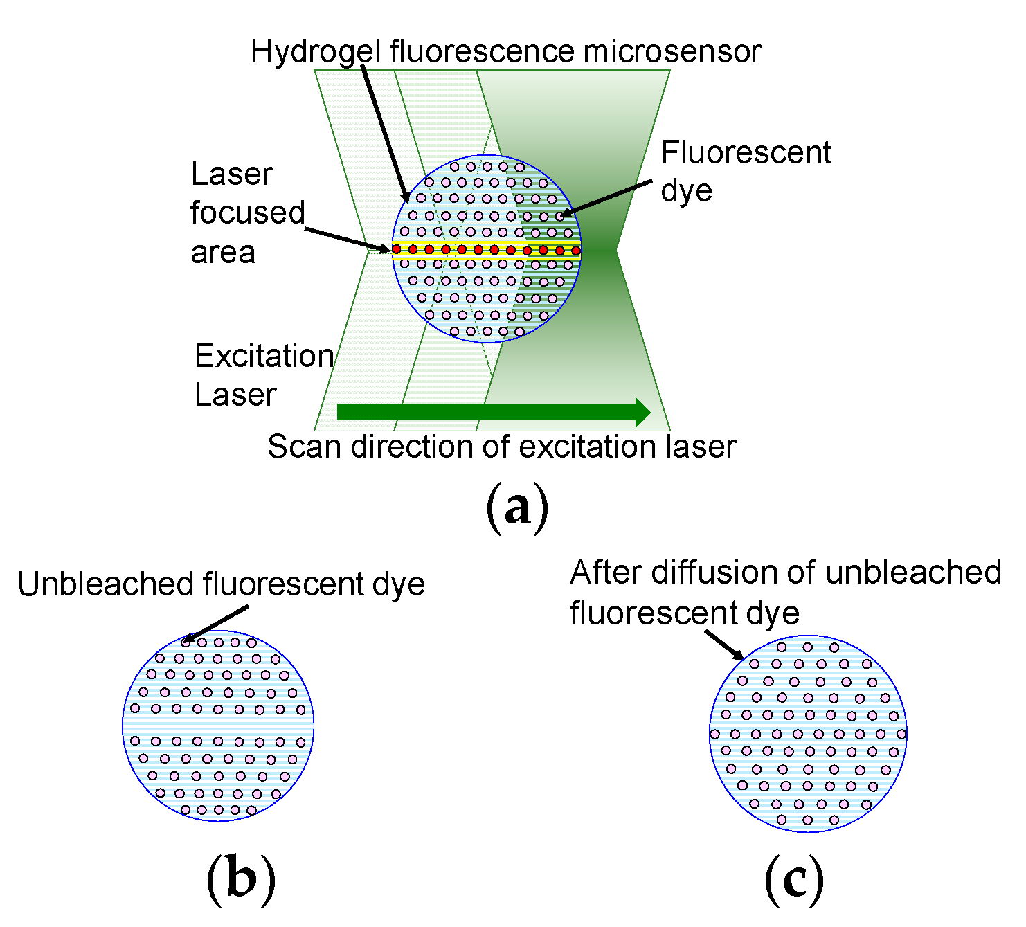 Sensors 19 05247 g001