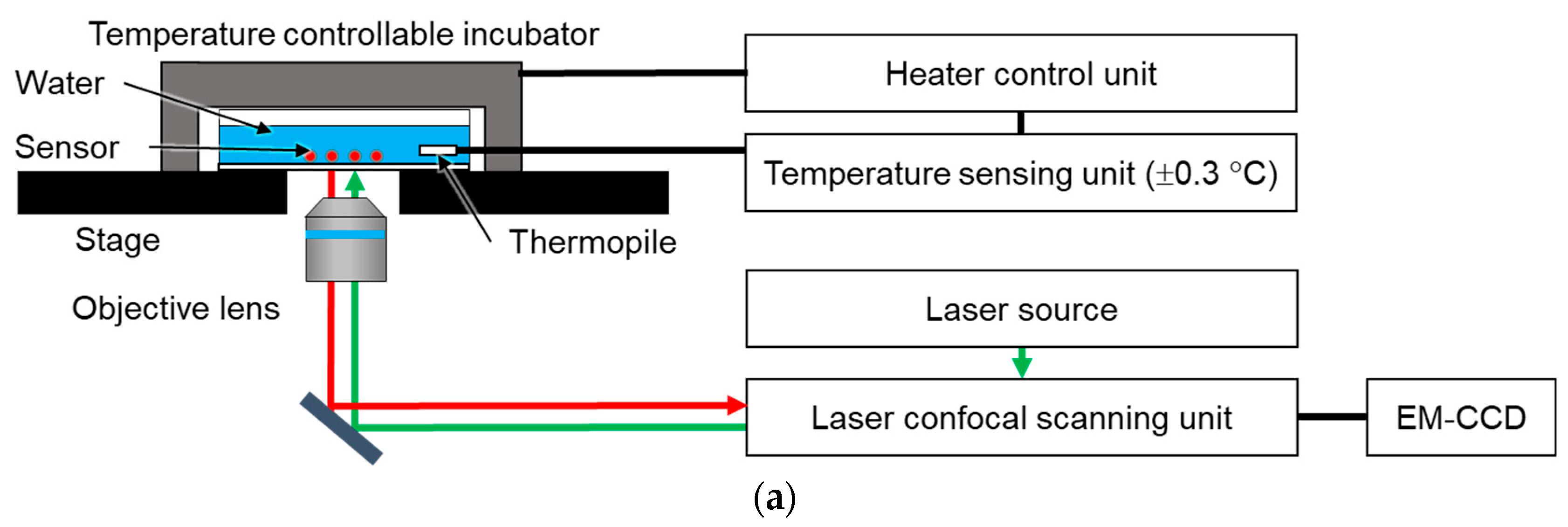 Sensors 19 05247 g002a