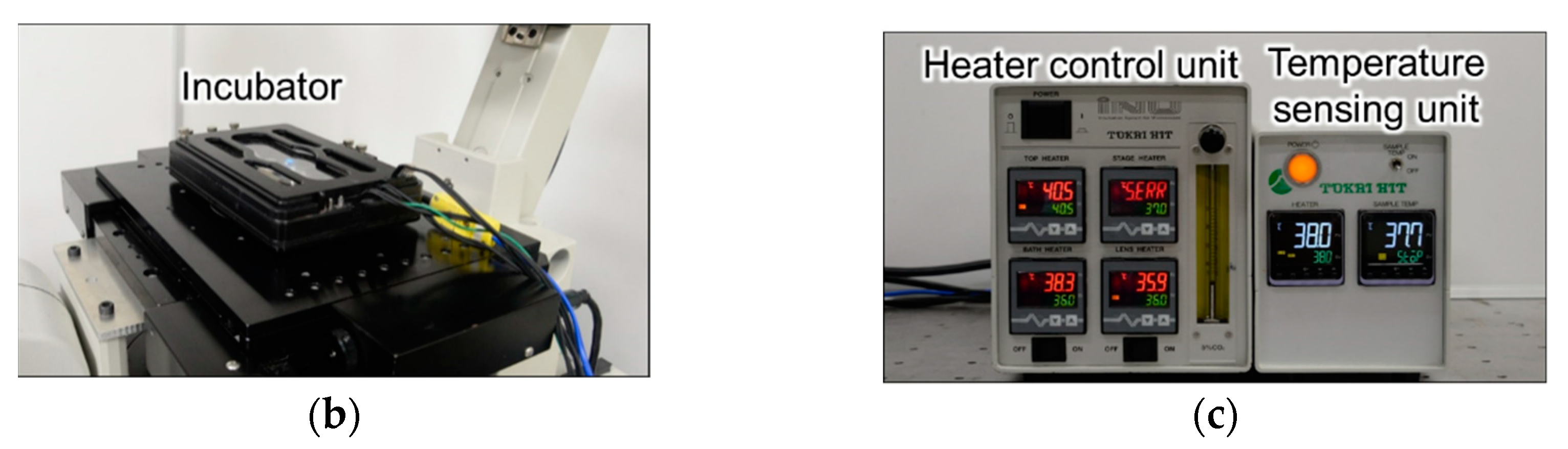 Sensors 19 05247 g002b