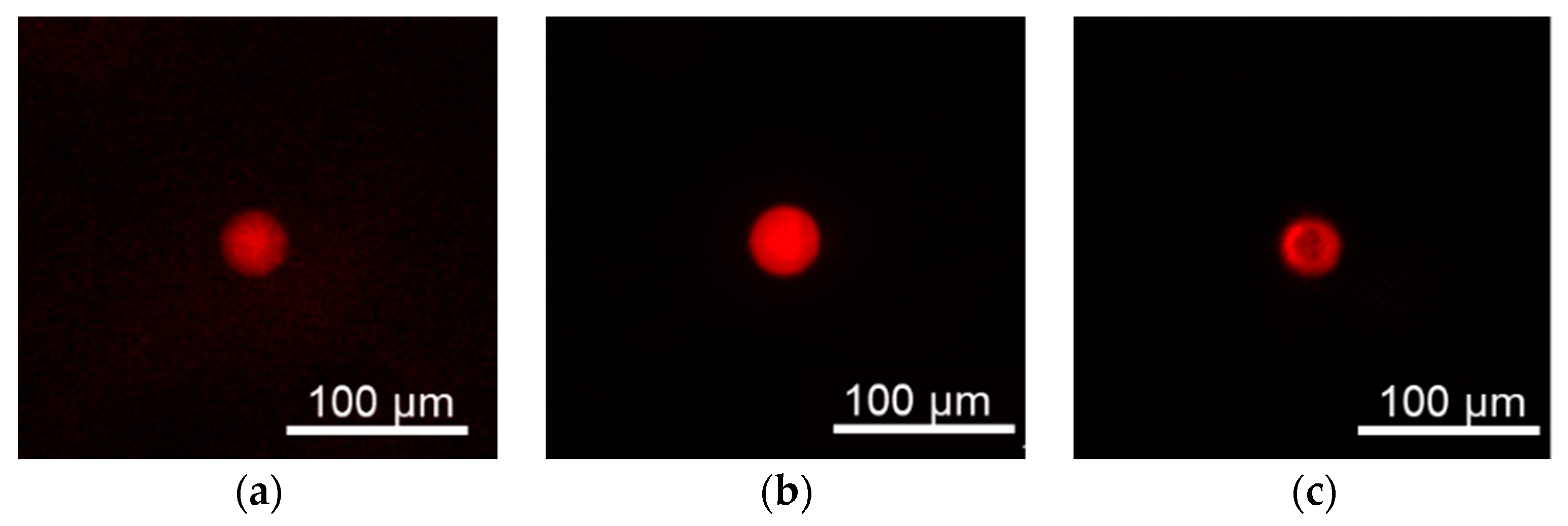 Sensors 19 05247 g003