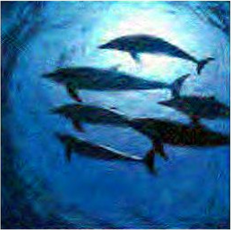 Sensors 19 05271 i006