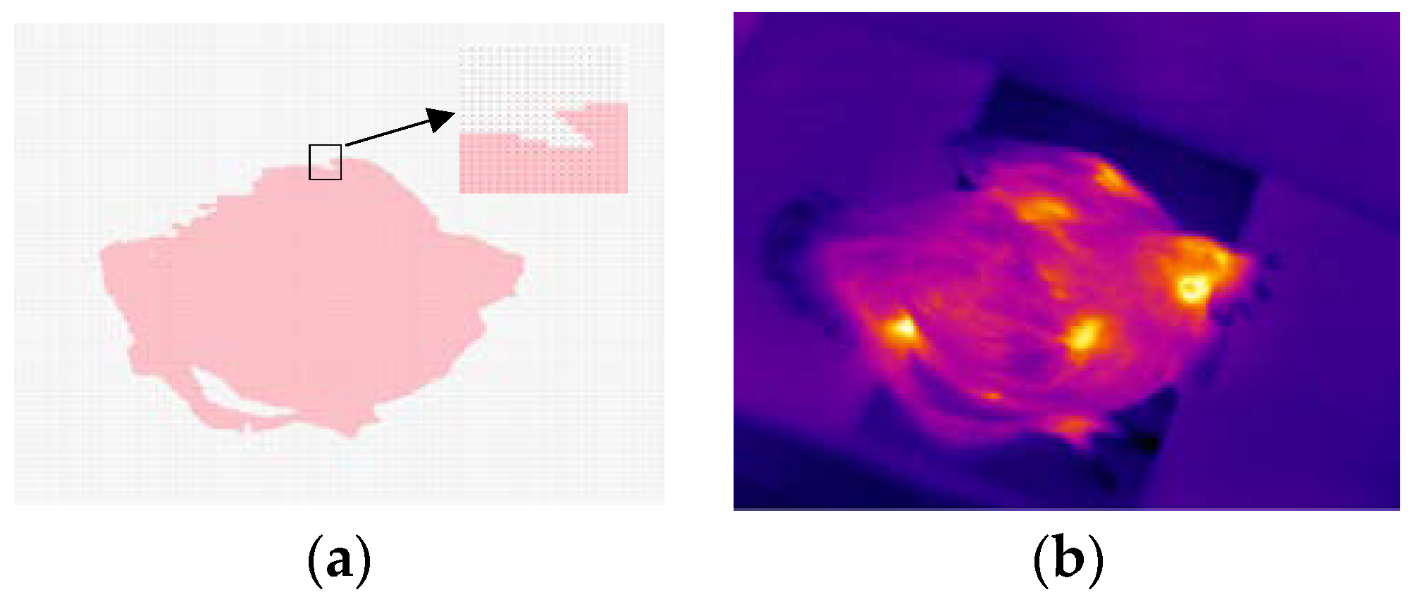 Sensors 19 05286 g002