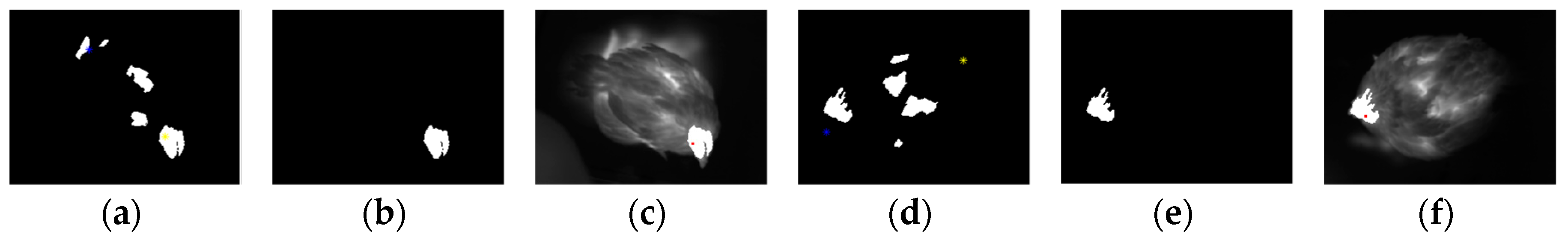 Sensors 19 05286 g007