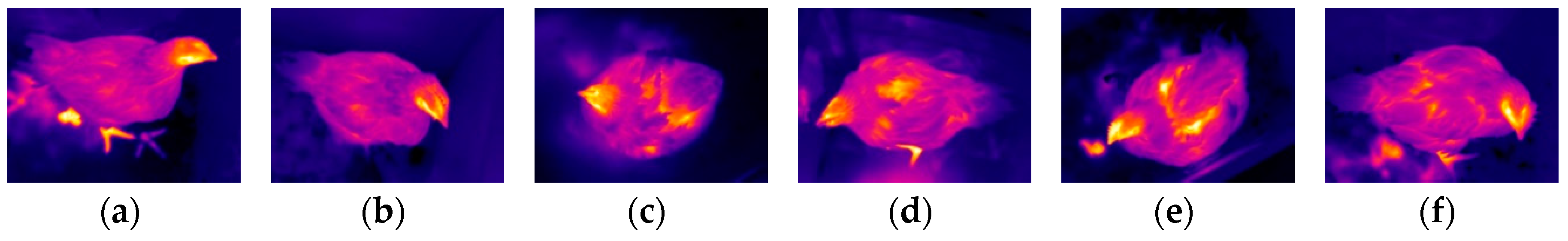 Sensors 19 05286 g010