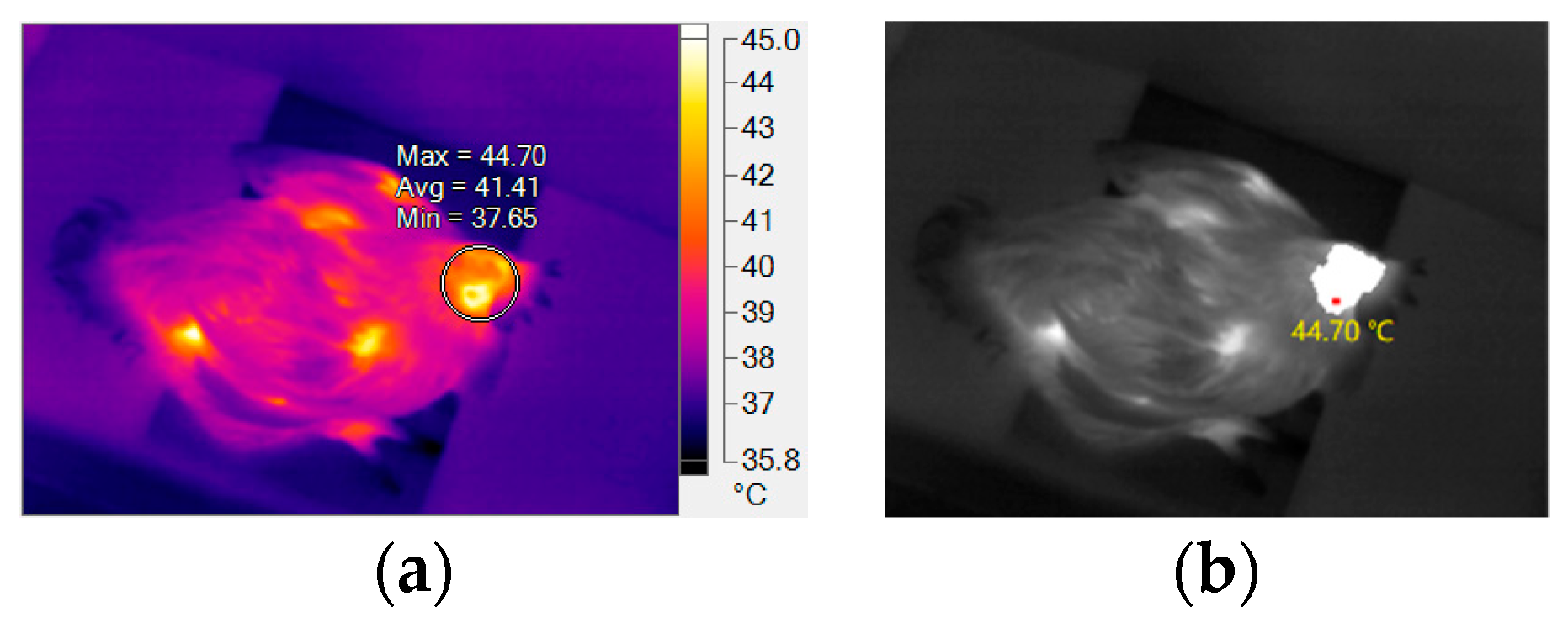 Sensors 19 05286 g011