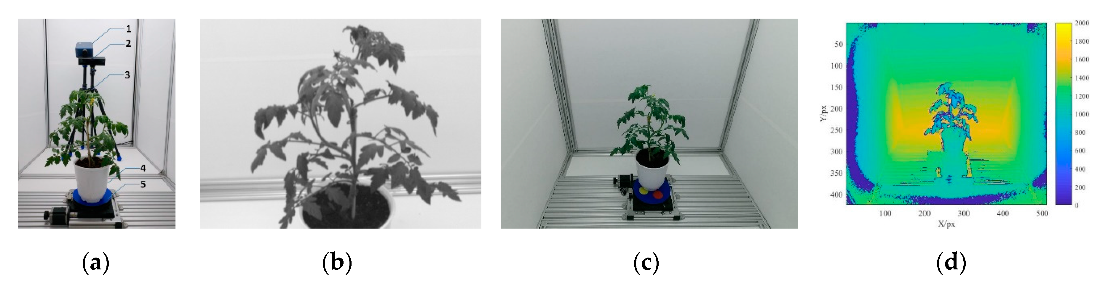Sensors 19 05295 g001