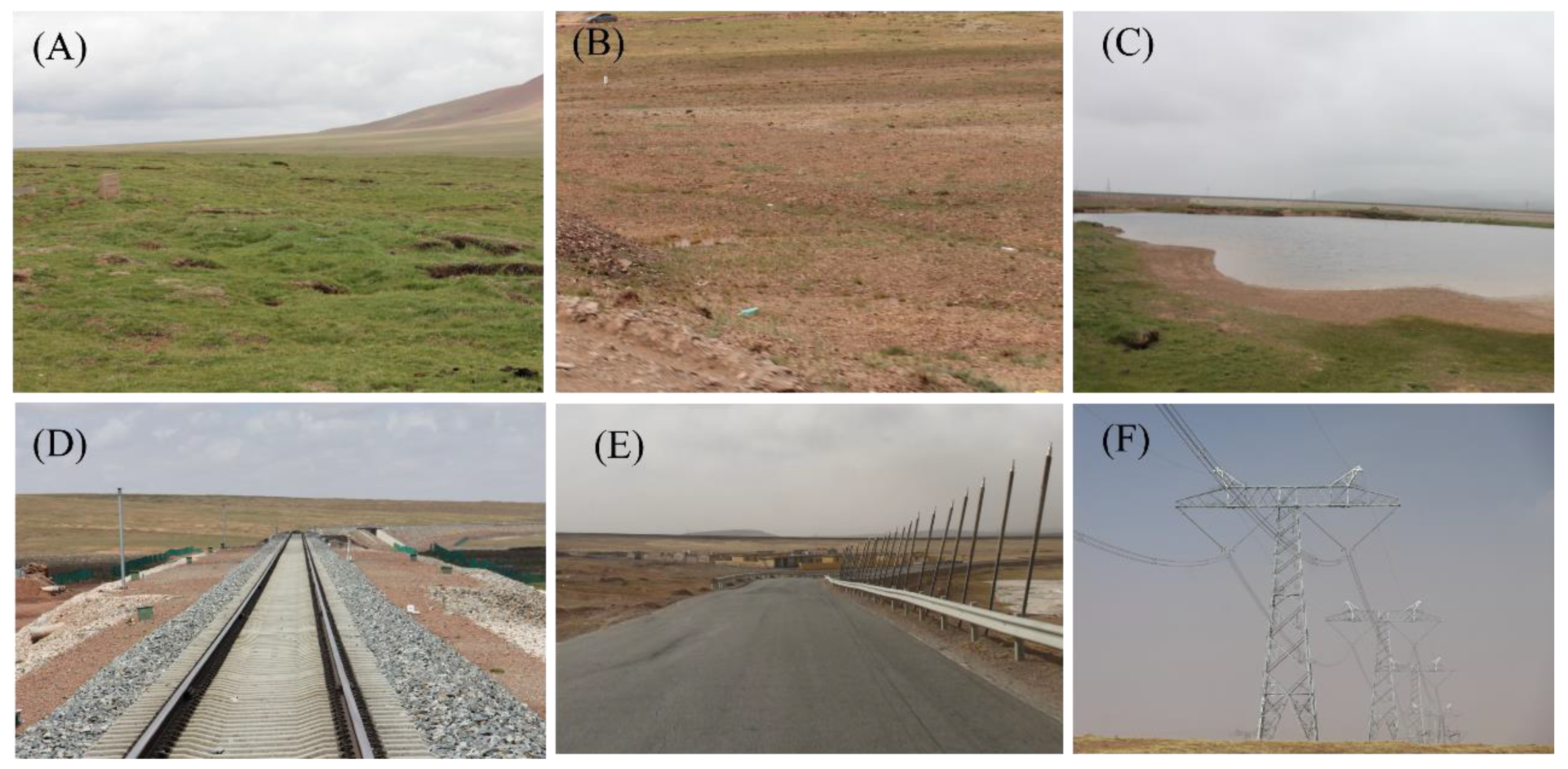 Sensors 19 05306 g002