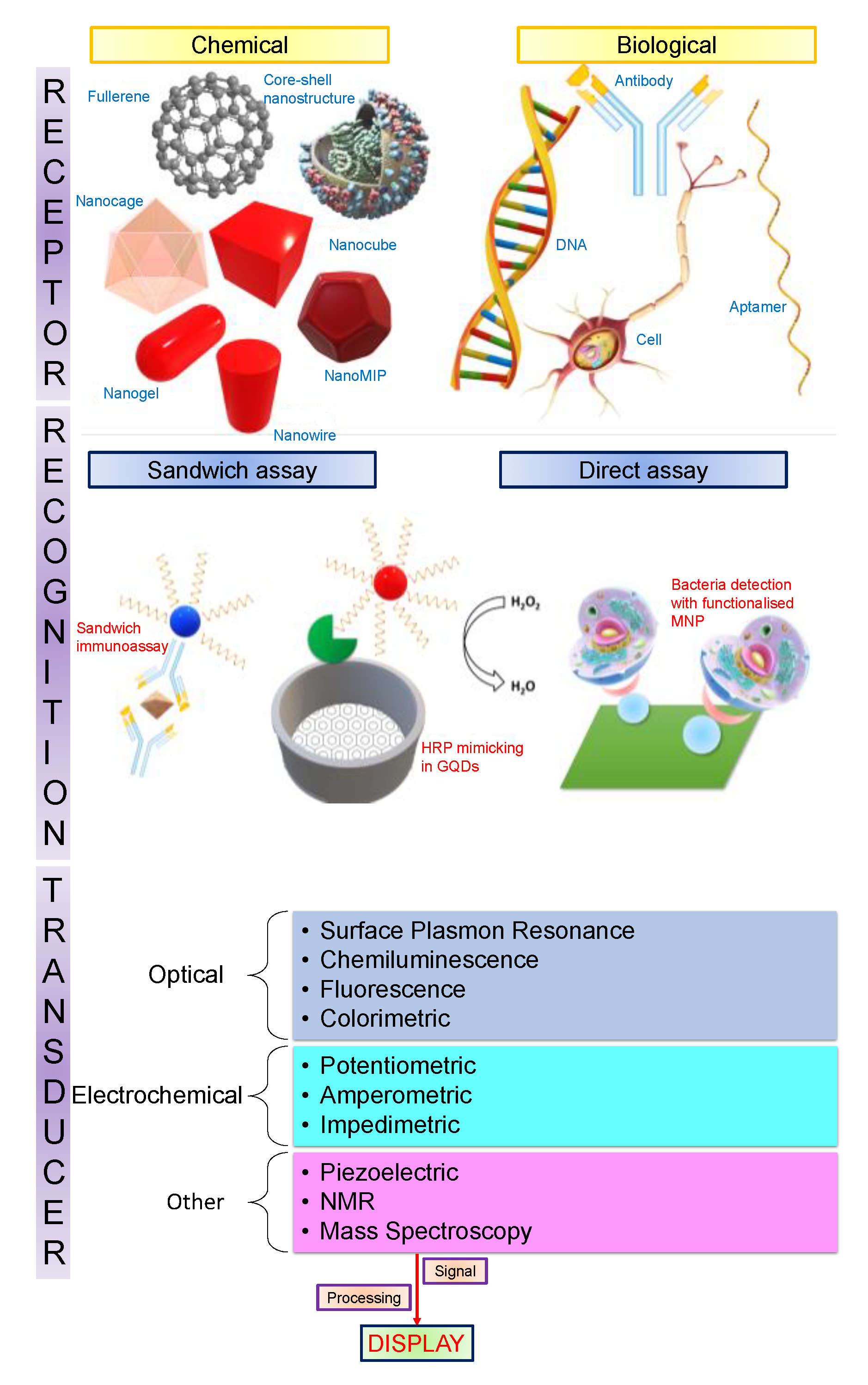 Sensors 19 05311 g002