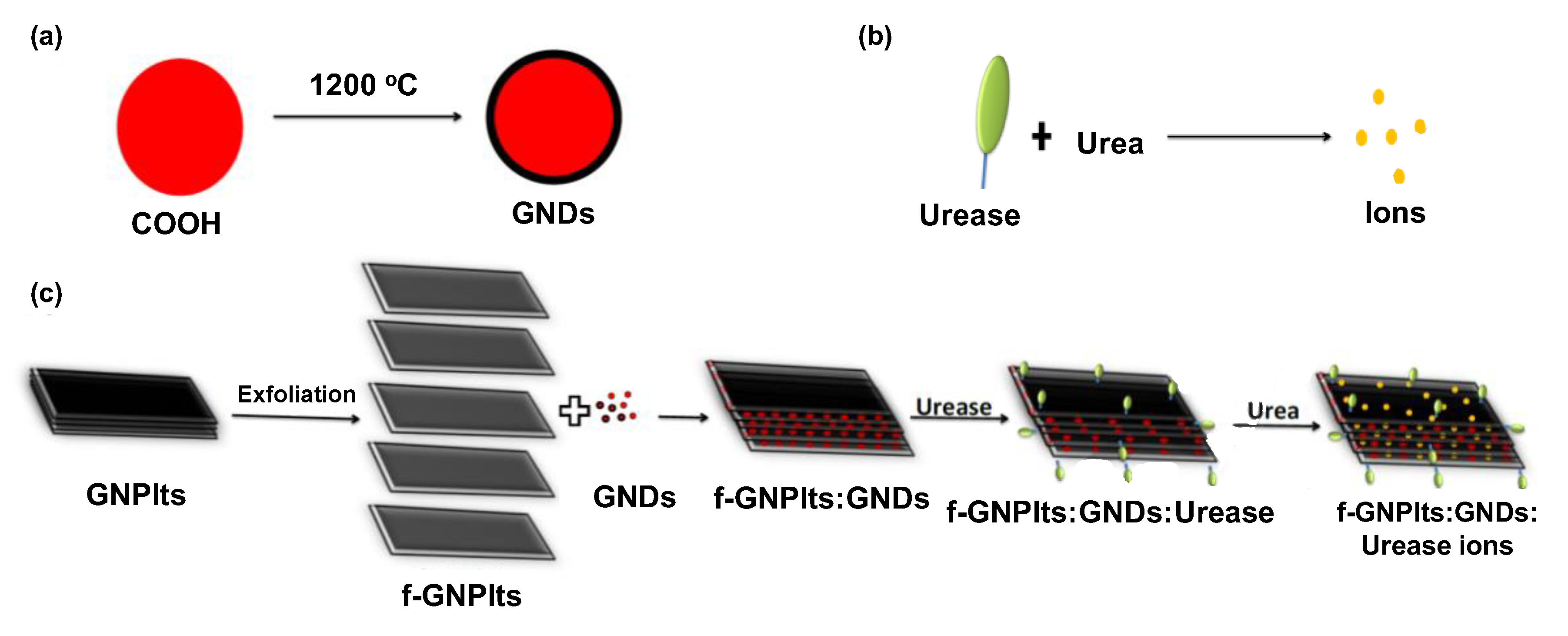 Sensors 19 05311 g007