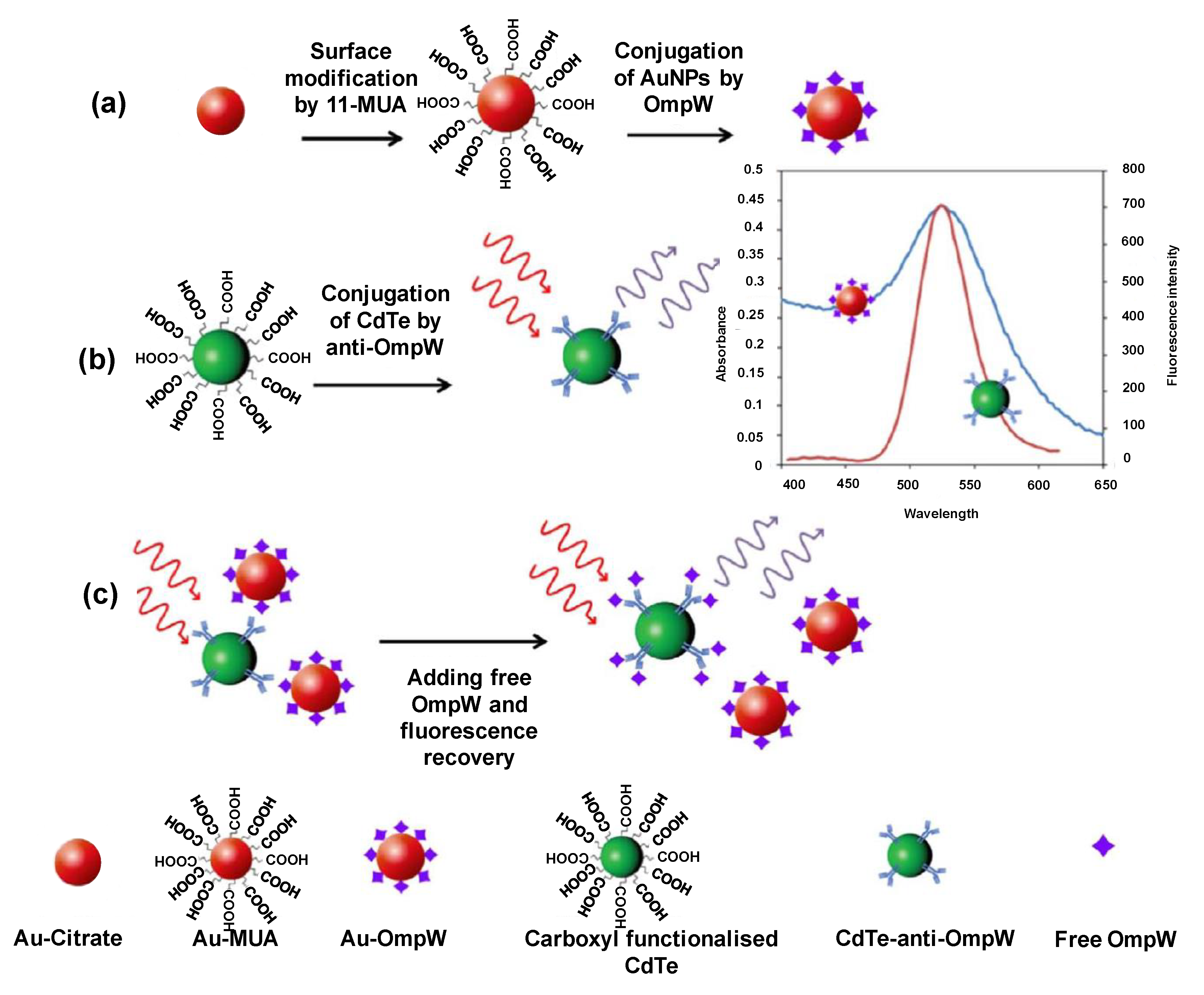 Sensors 19 05311 g009