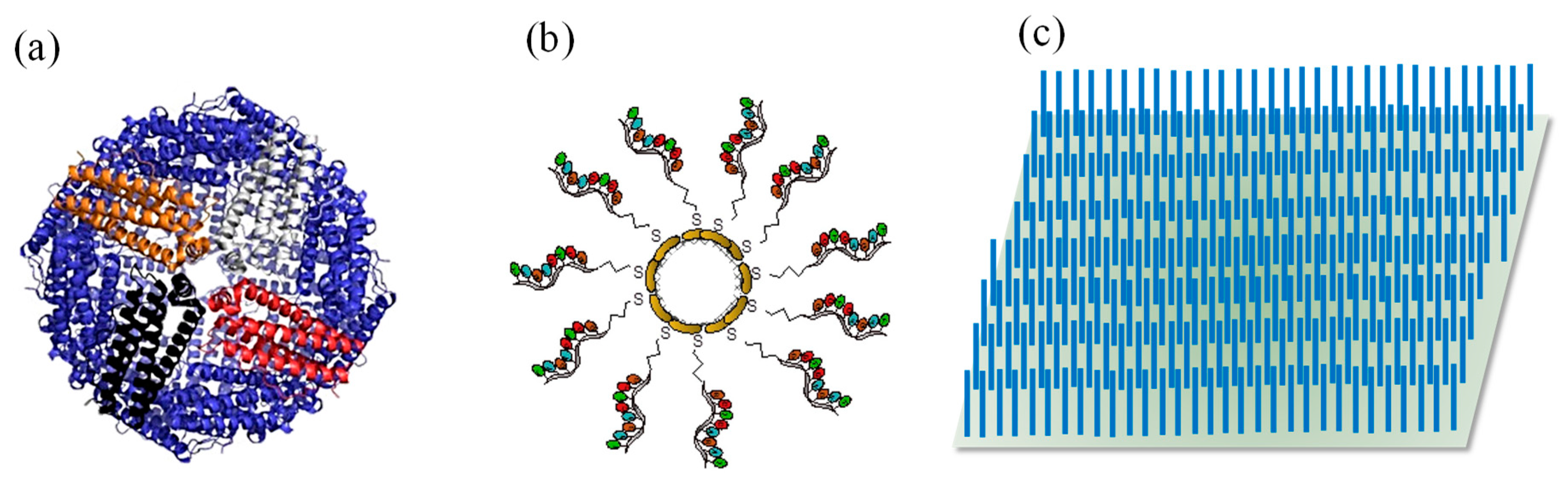 Sensors 19 05311 g010