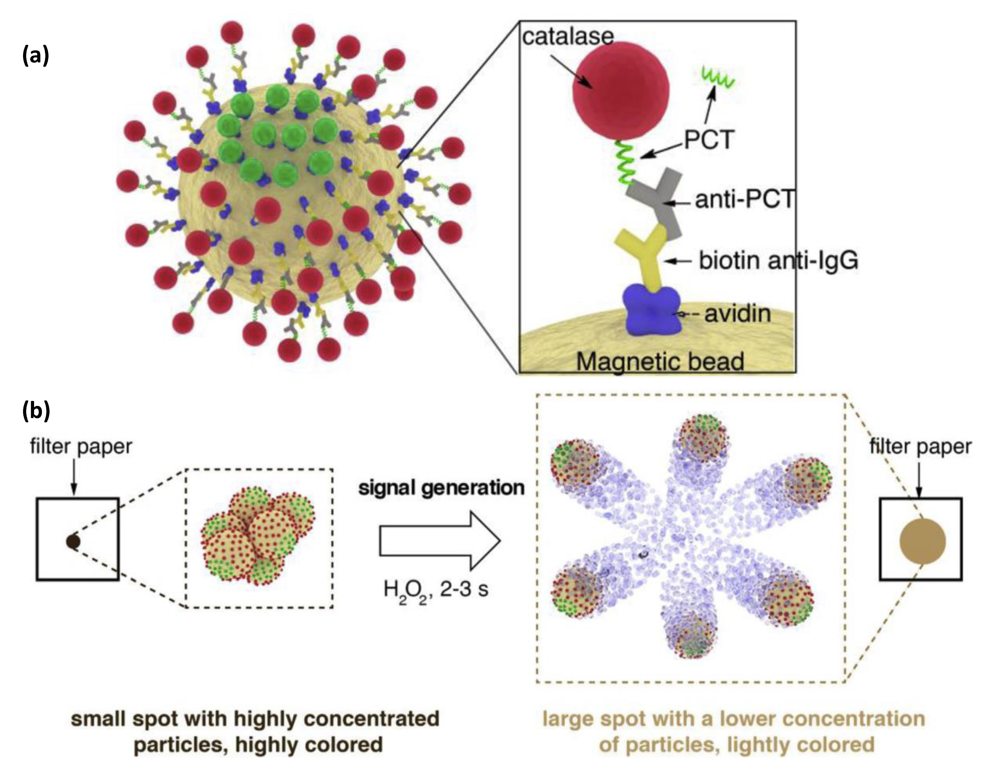 Sensors 19 05311 g014