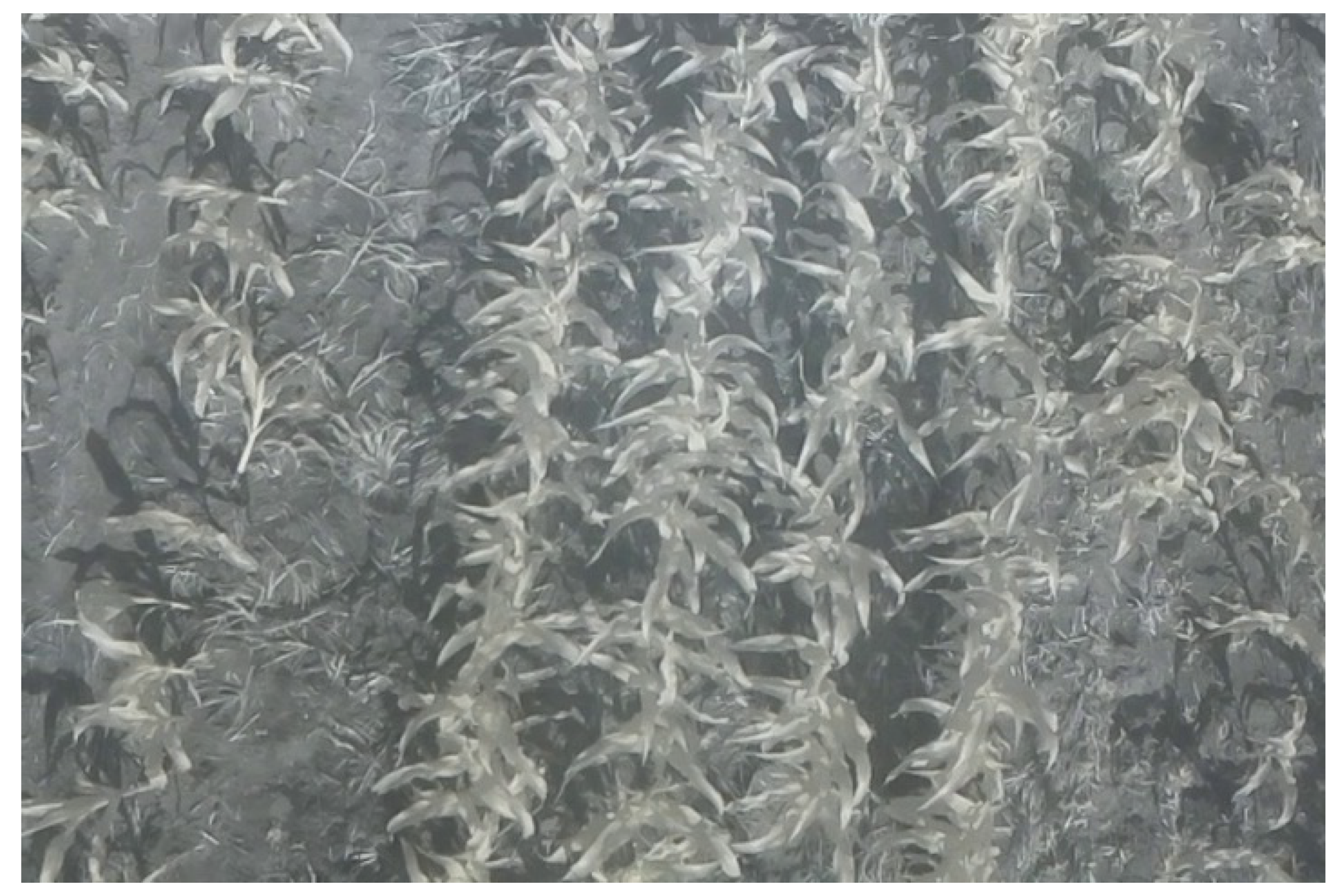 Sensors 19 05397 g011