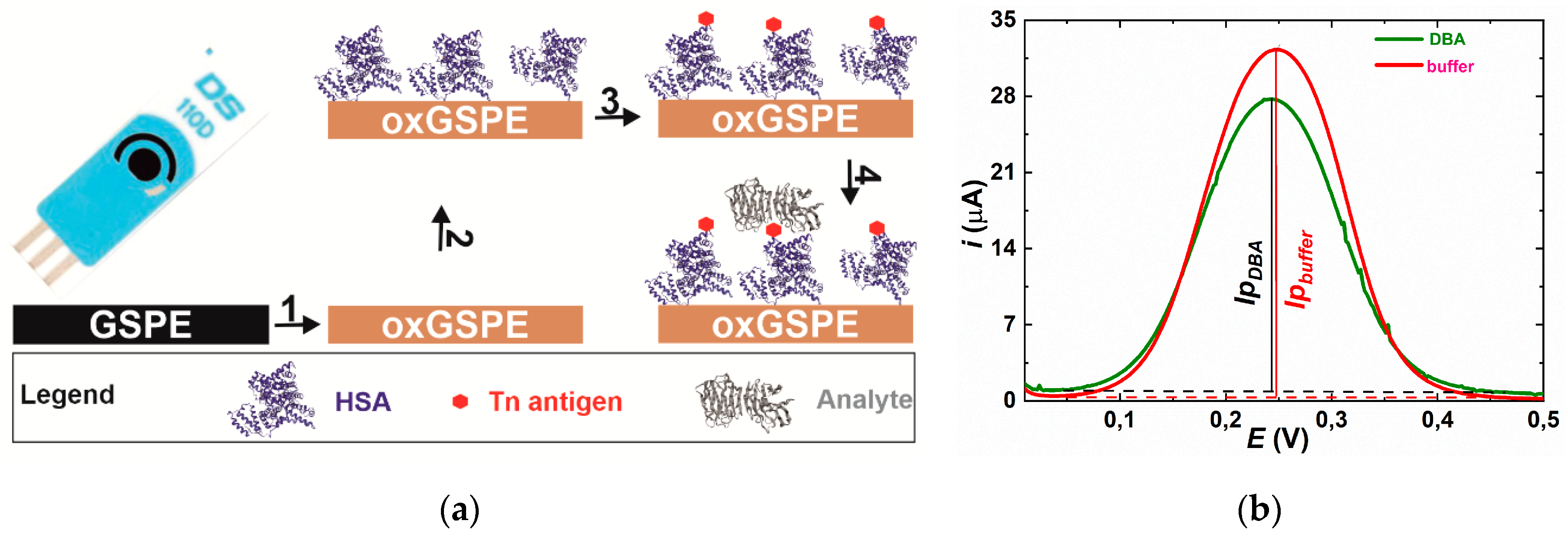 Sensors 19 05409 g001 Sensors 19 05409 g001
