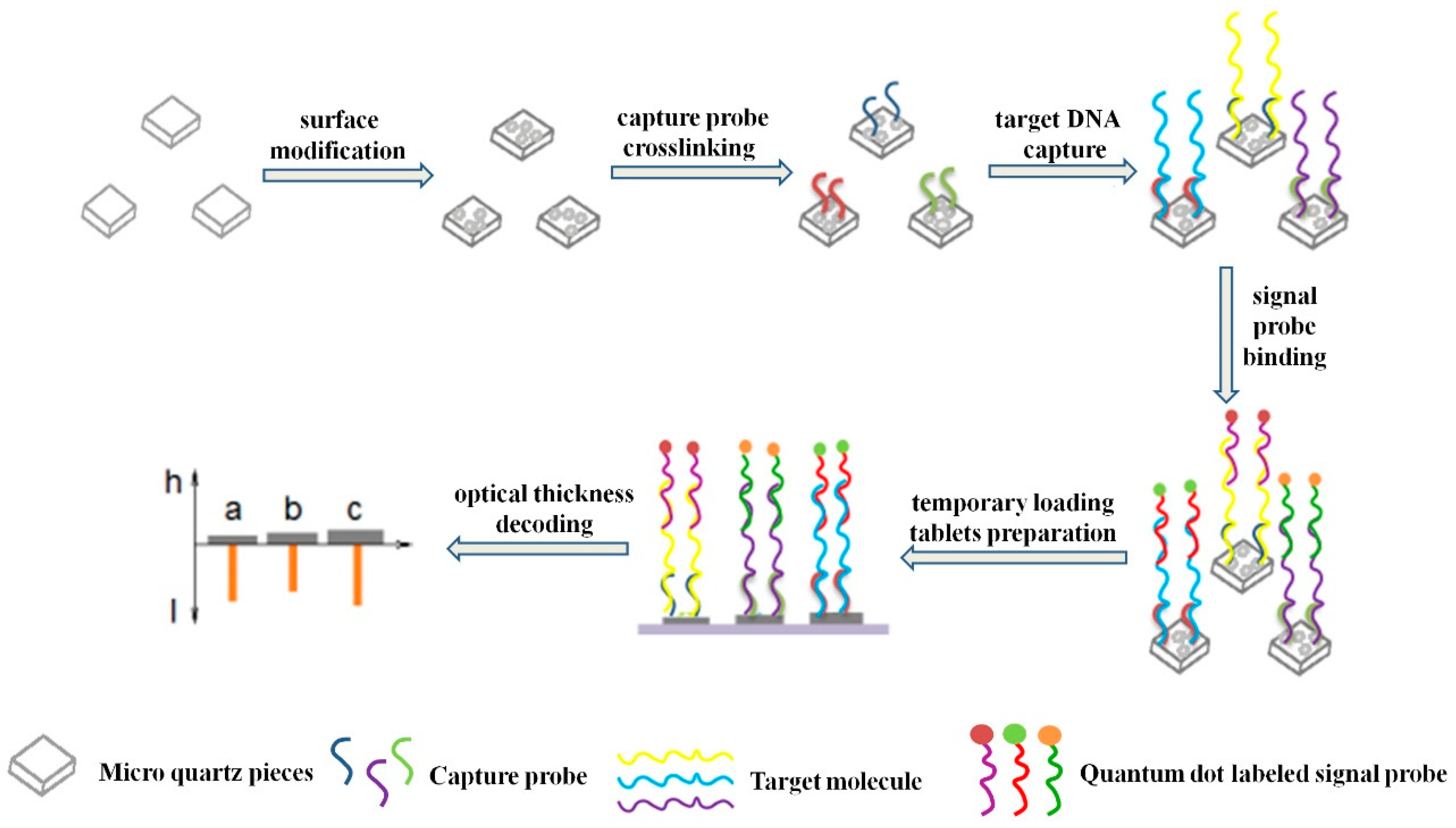 Sensors 19 05425 g002