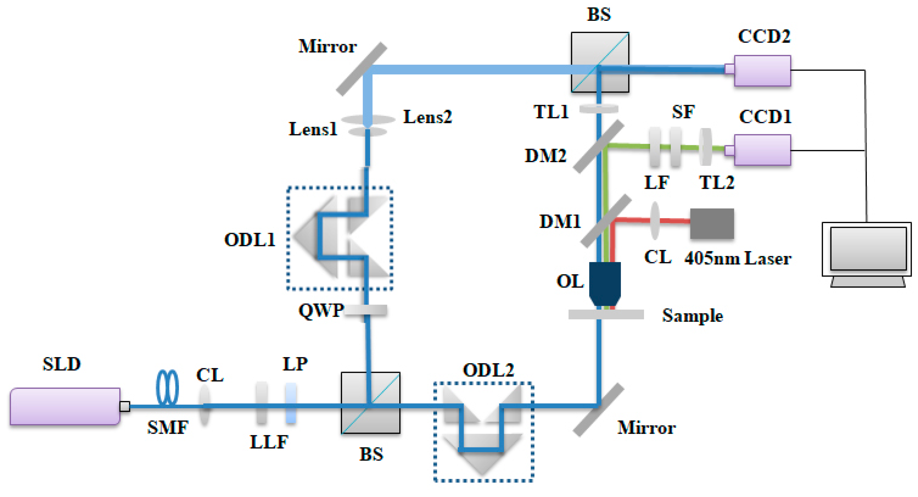 Sensors 19 05425 g003