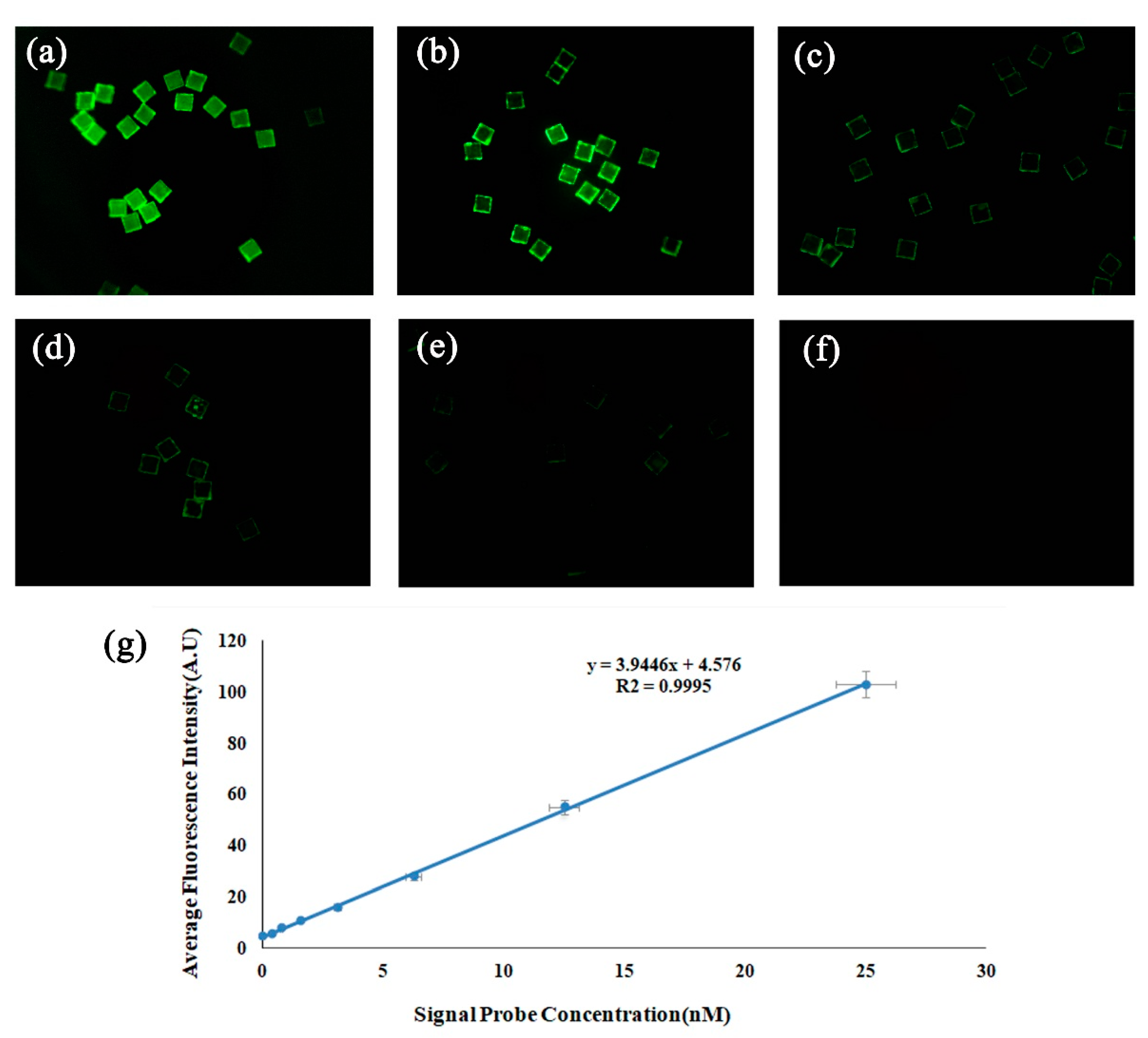 Sensors 19 05425 g006