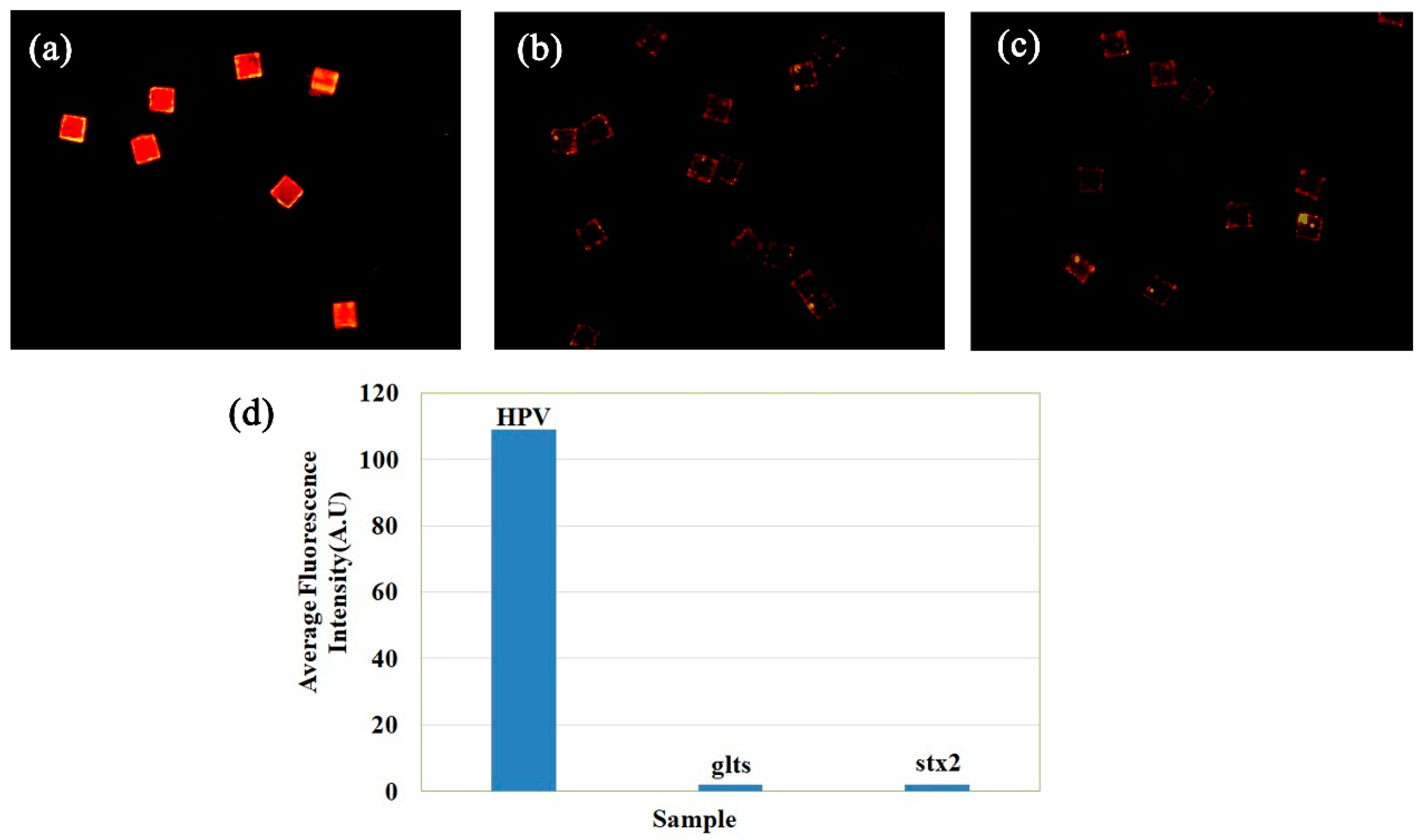 Sensors 19 05425 g007