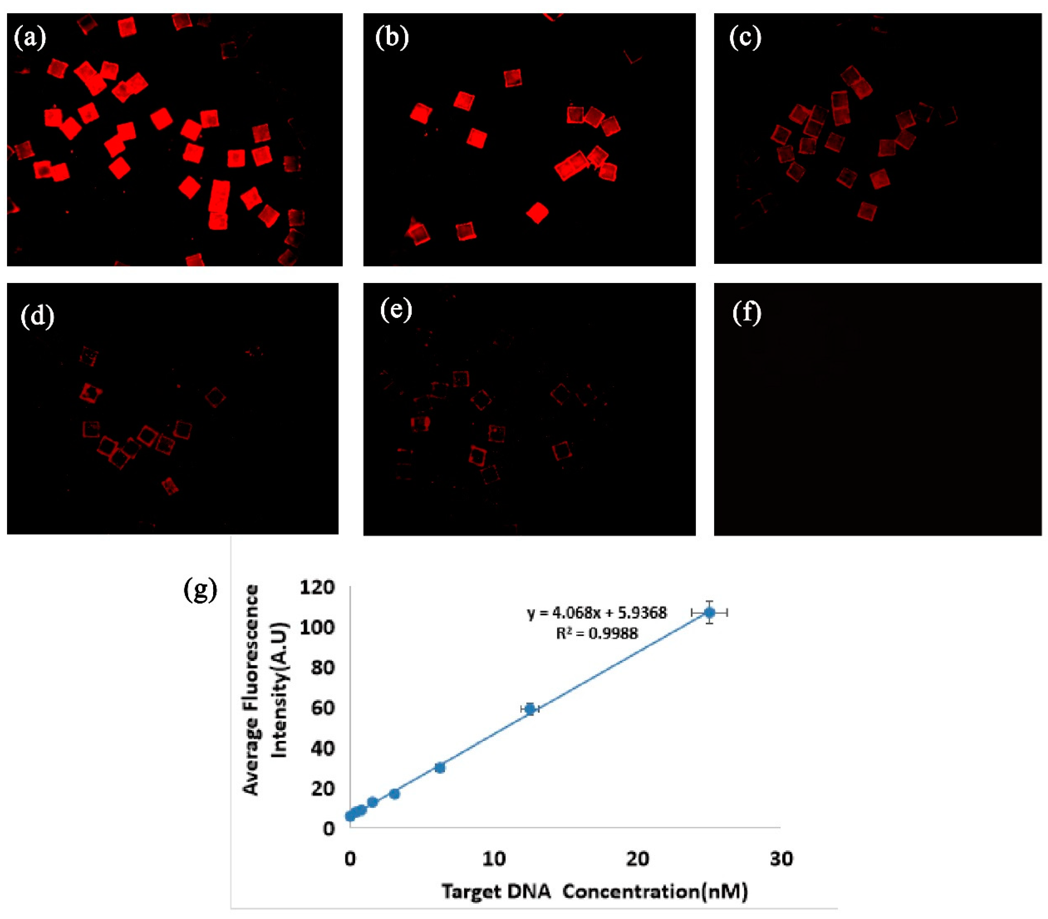Sensors 19 05425 g008