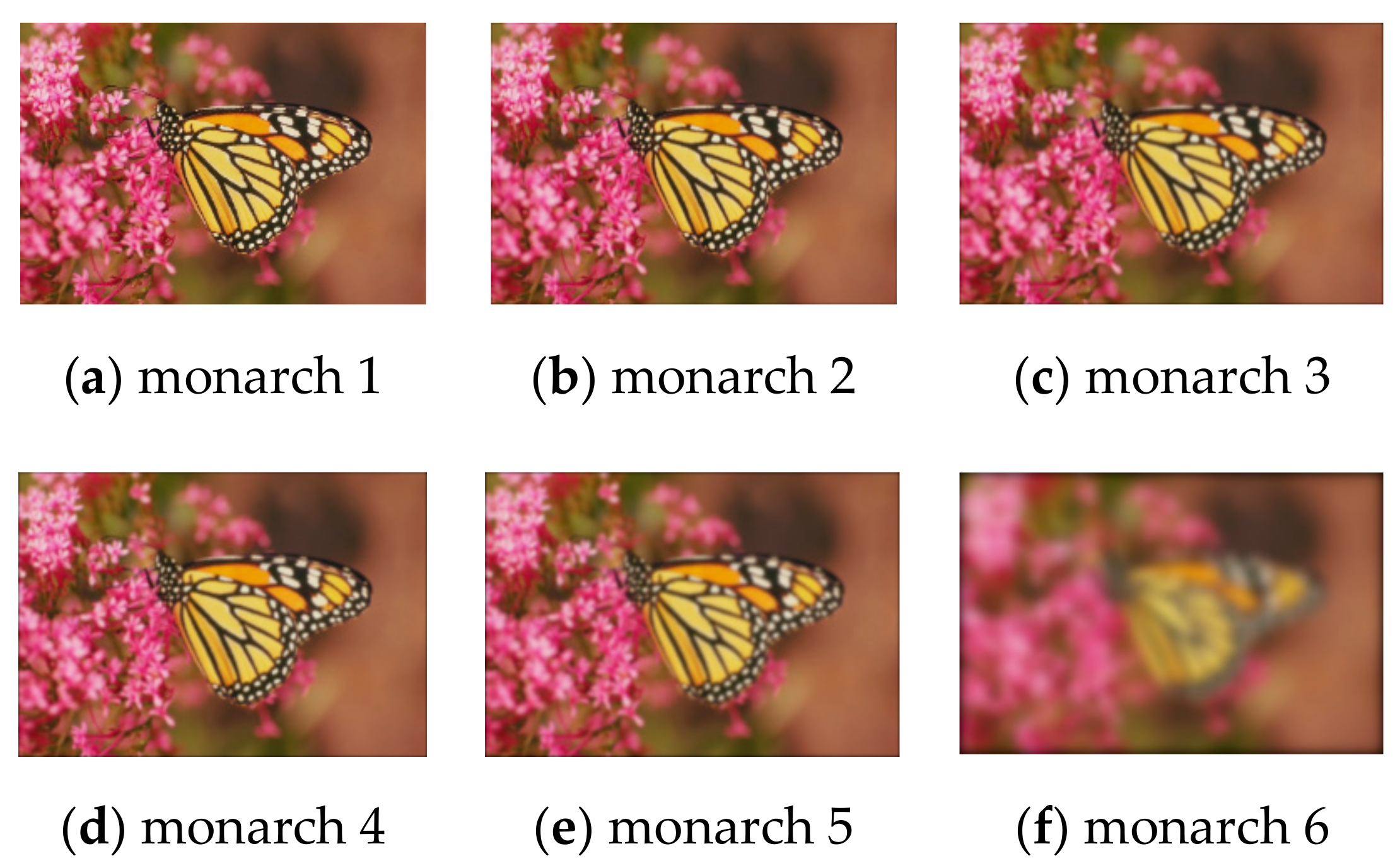 Sensors 19 05430 g004