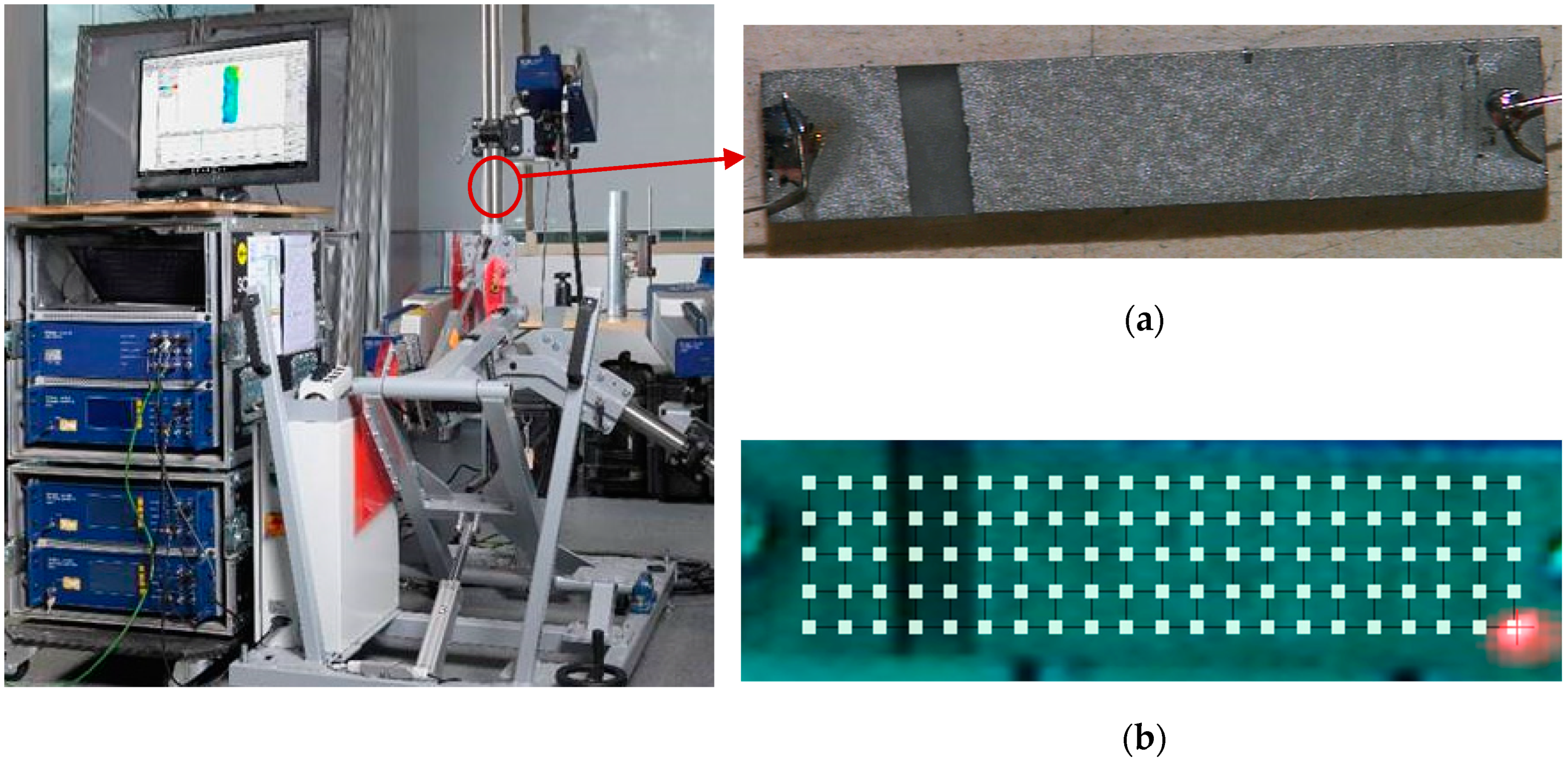 Sensors 19 05443 g007