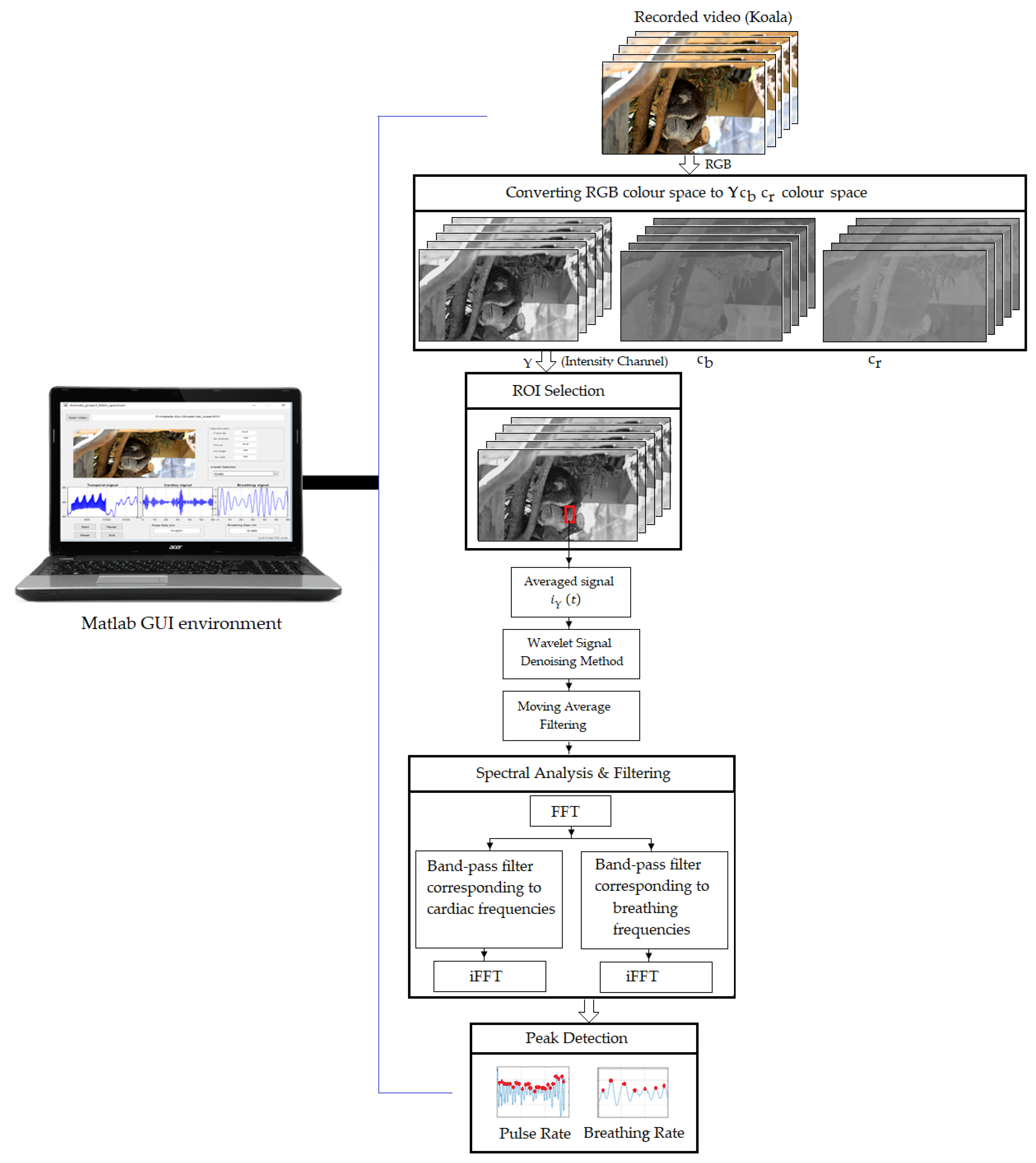 Sensors 19 05445 g002