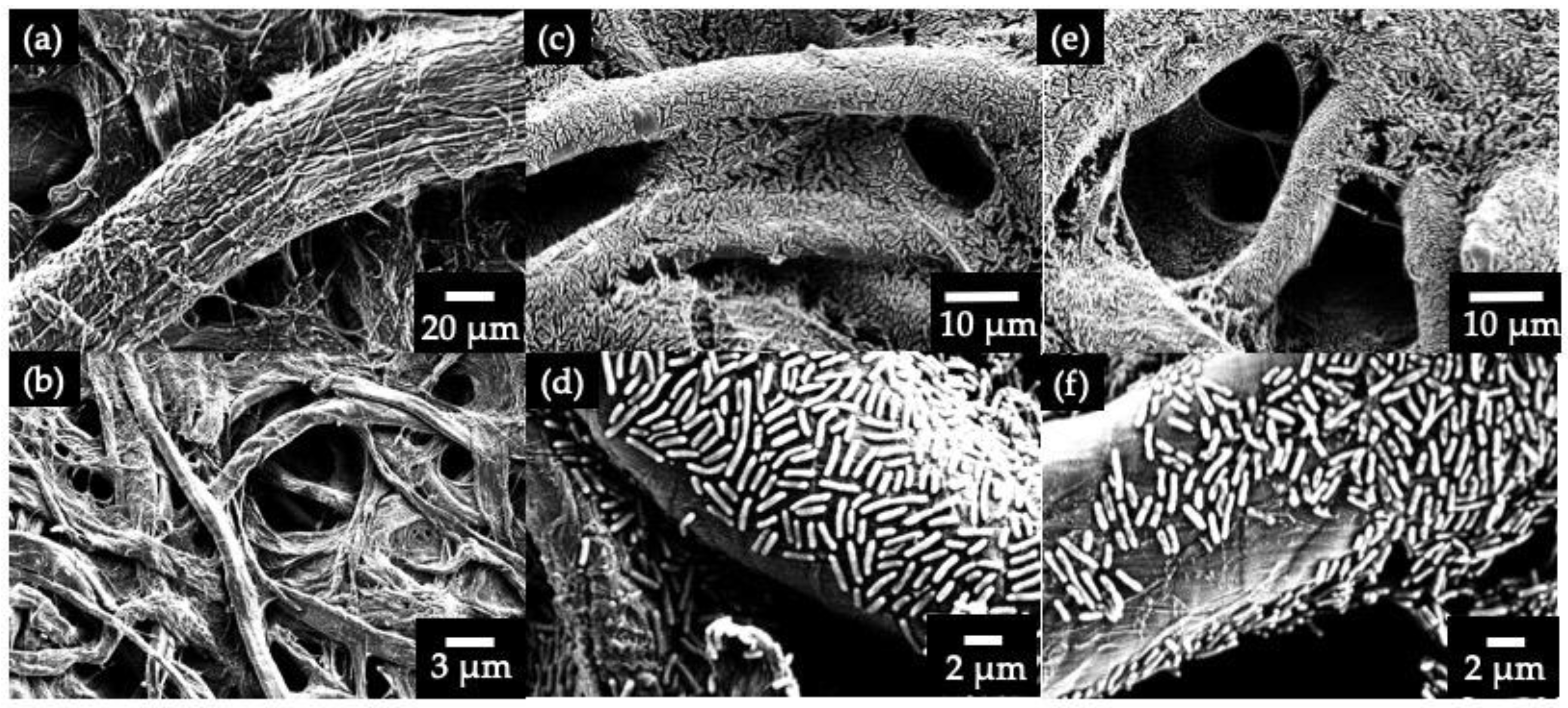 Sensors 19 05452 g003