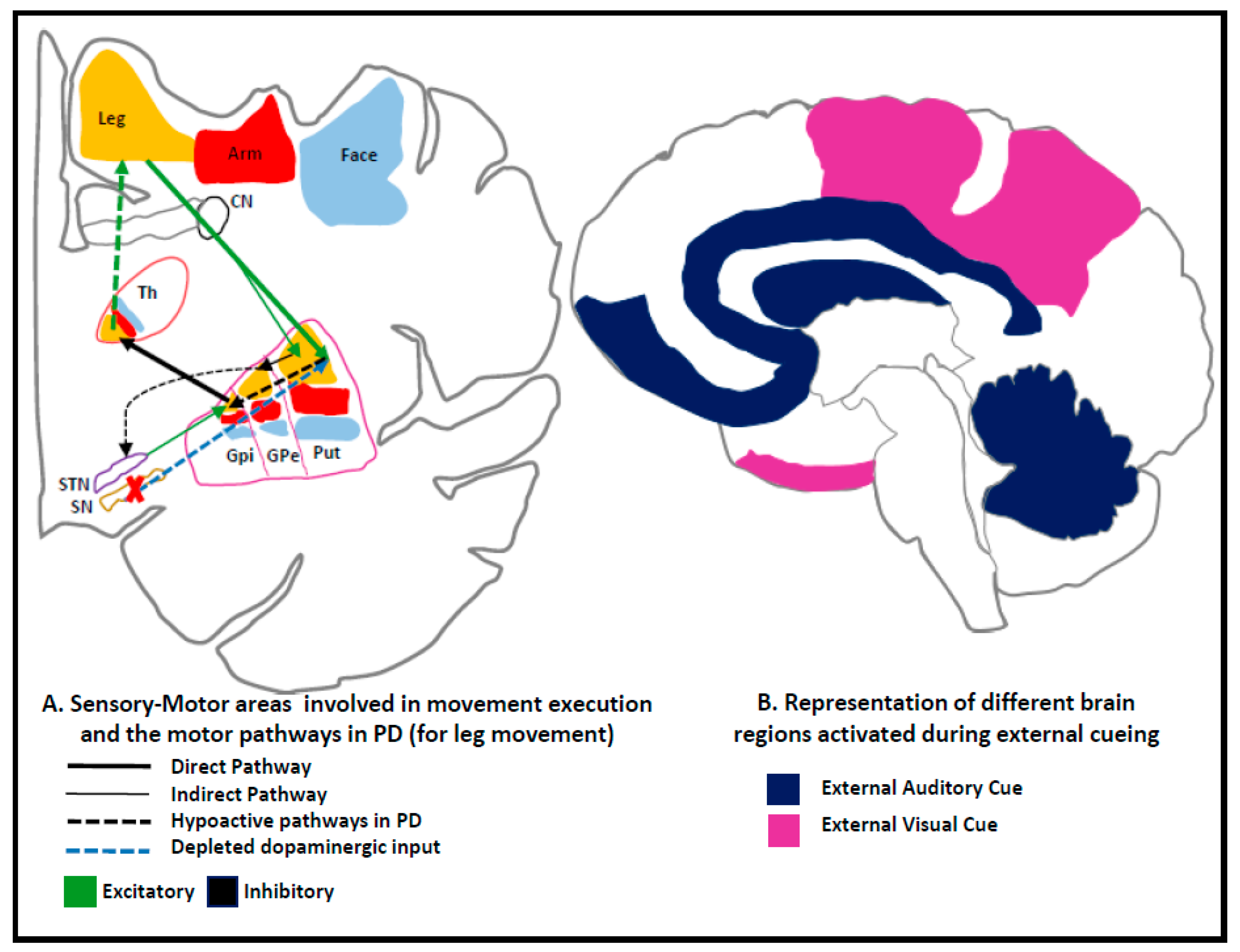 Sensors 19 05468 g001