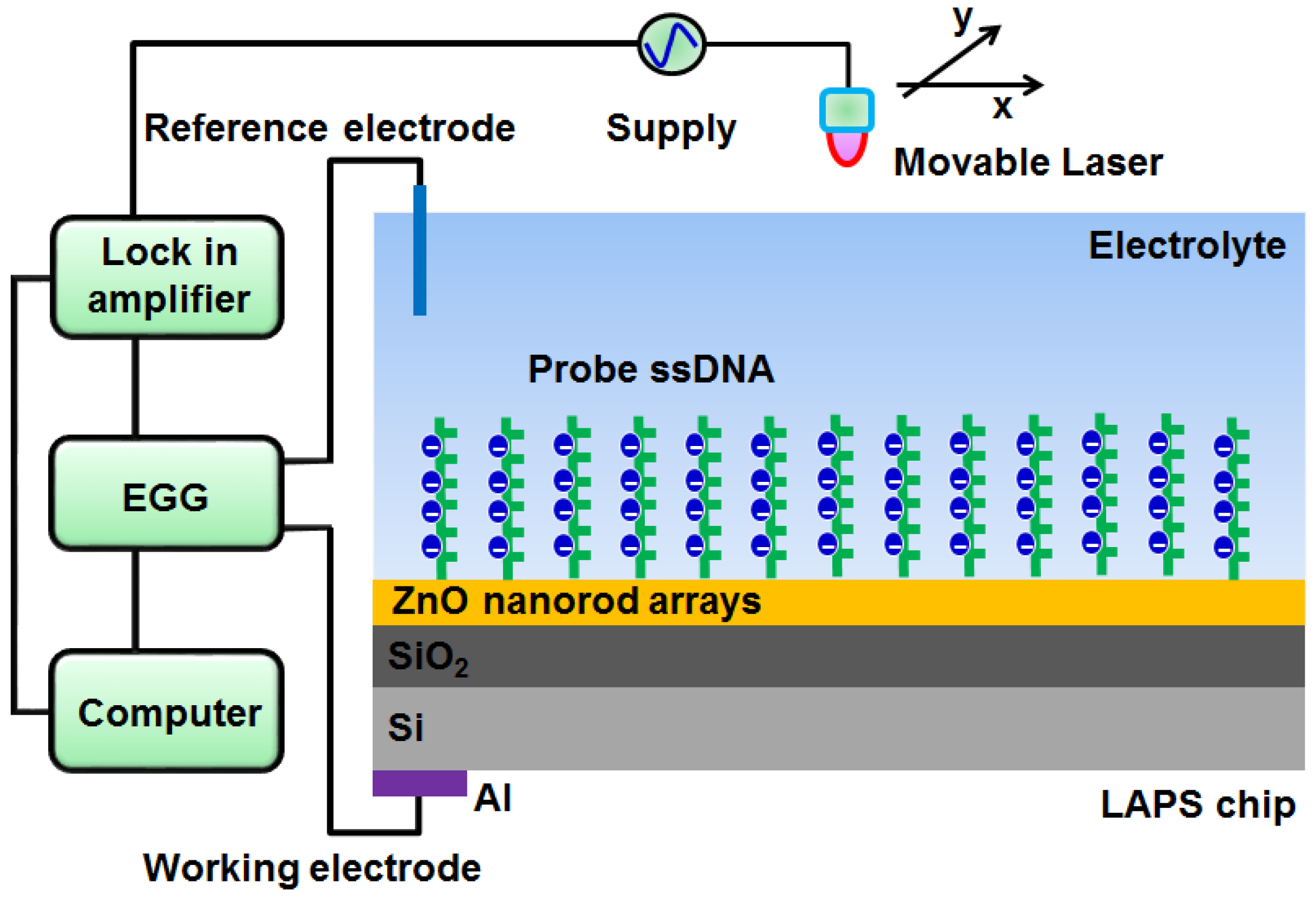Sensors 19 05473 g001
